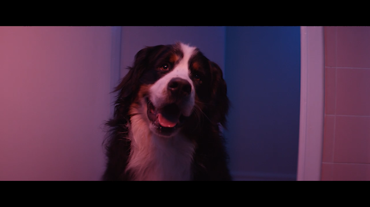 Screen Shot 2020-09-28 at 9.18.43 am.PNG