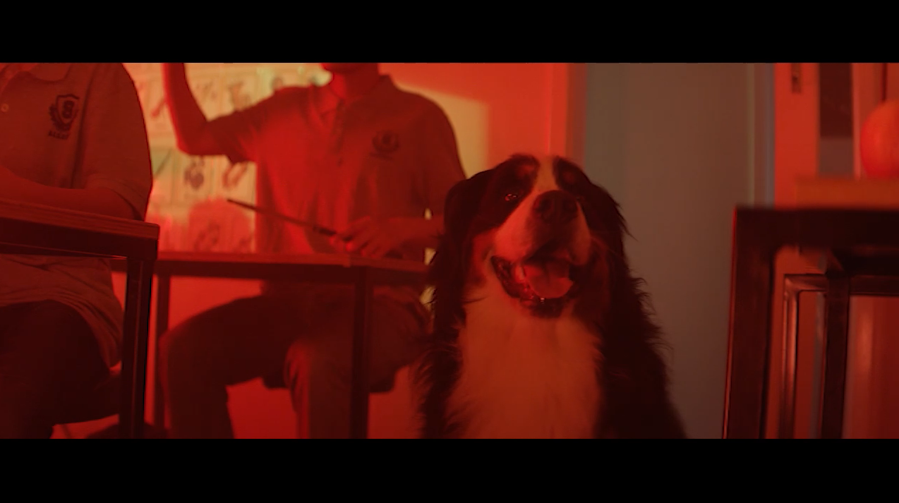 Screen Shot 2020-09-28 at 9.23.50 am.PNG