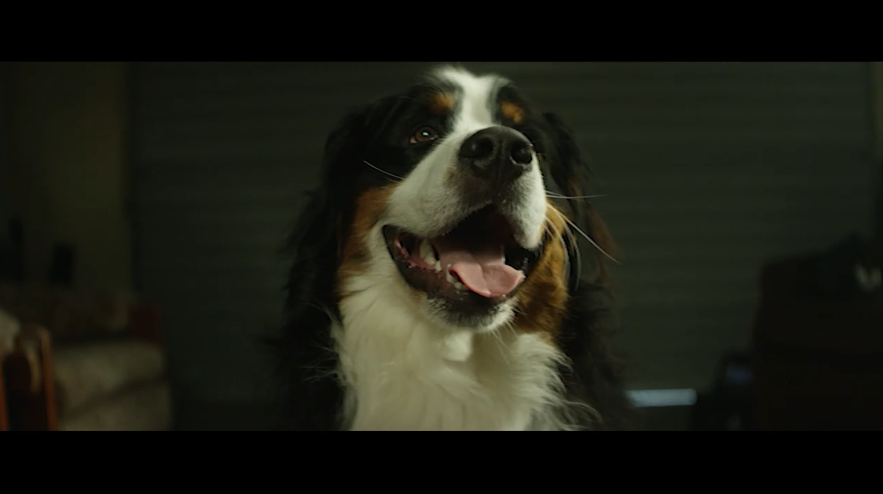 Screen Shot 2020-09-28 at 9.47.52 am.PNG