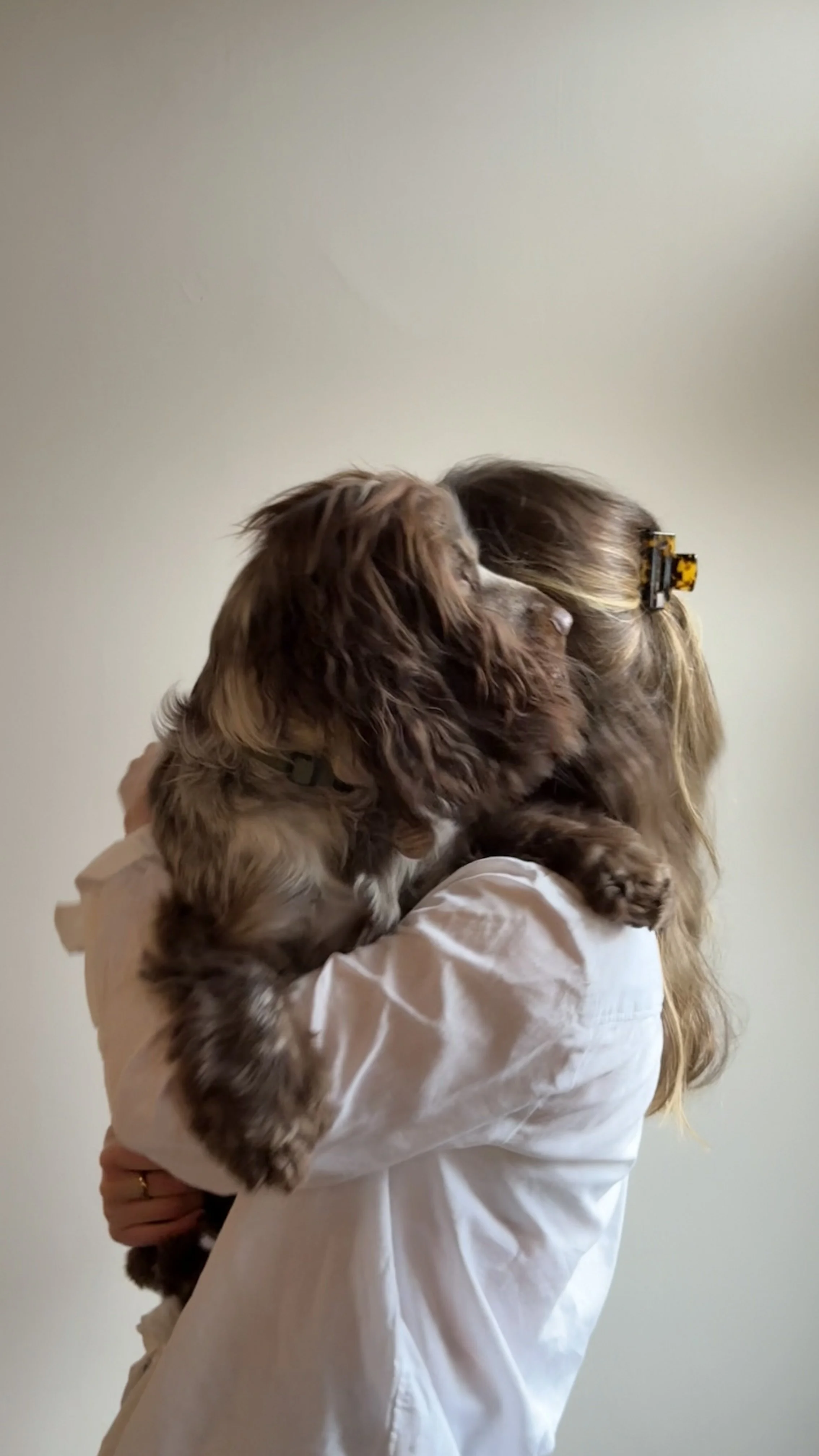 Chocolate Cocker Spaniel Trix Creative Wedding Stationery