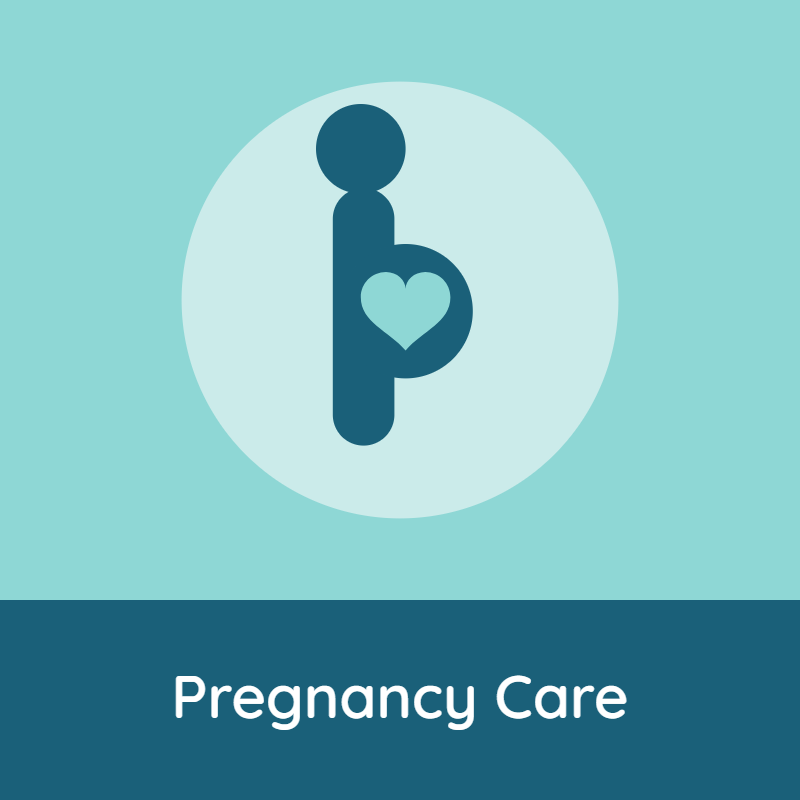 Icon of a pregnant woman with a heart in her belly, with the text 'Pregnancy Care' underneath.