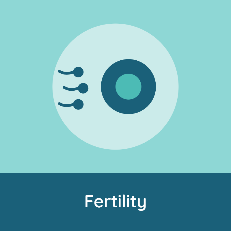 cartoon image of sperm swimming towards an egg