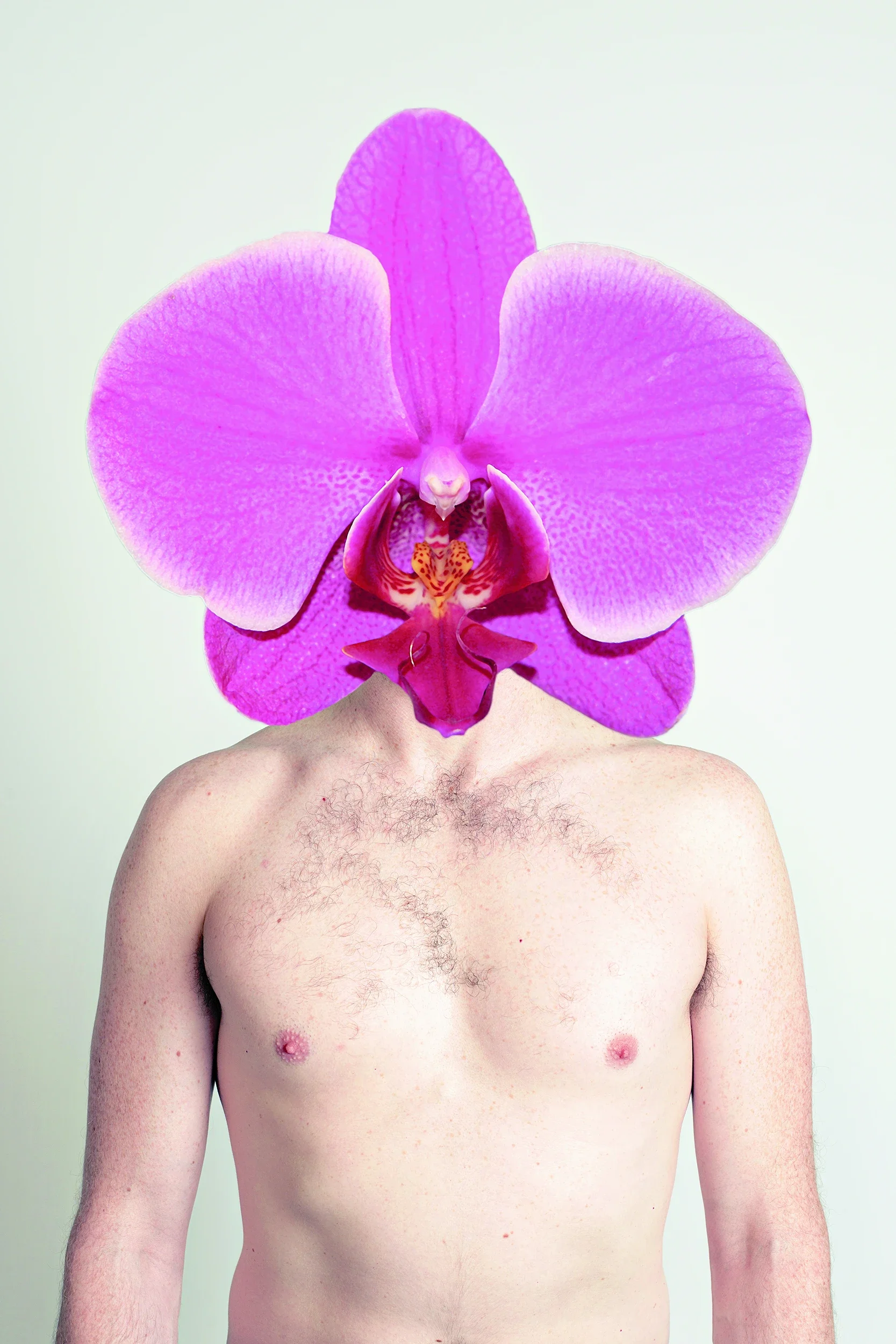 FlowerHead, archival pigment on luster, 30in x 40in