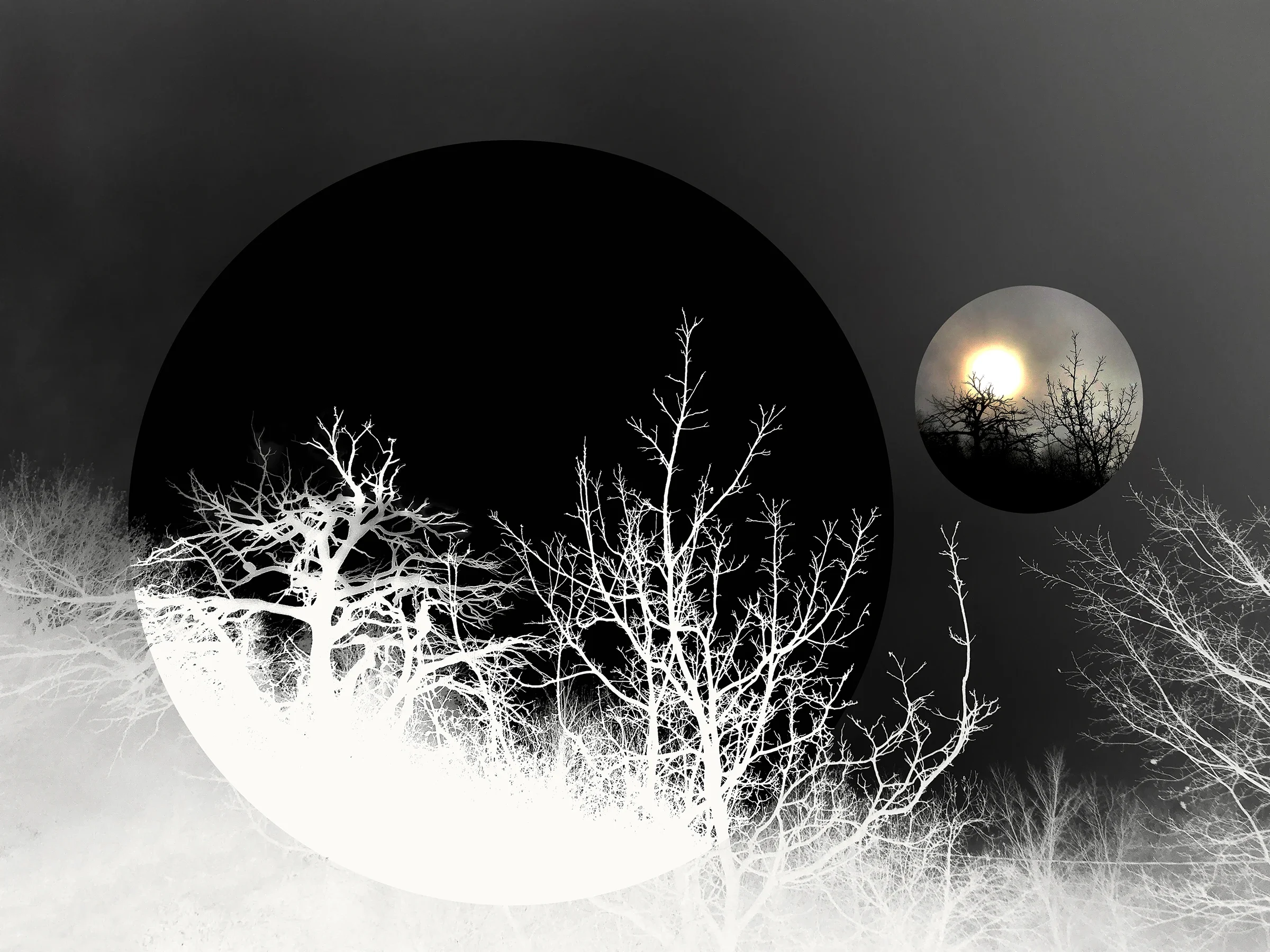 OtherWorlds_ 01.webp