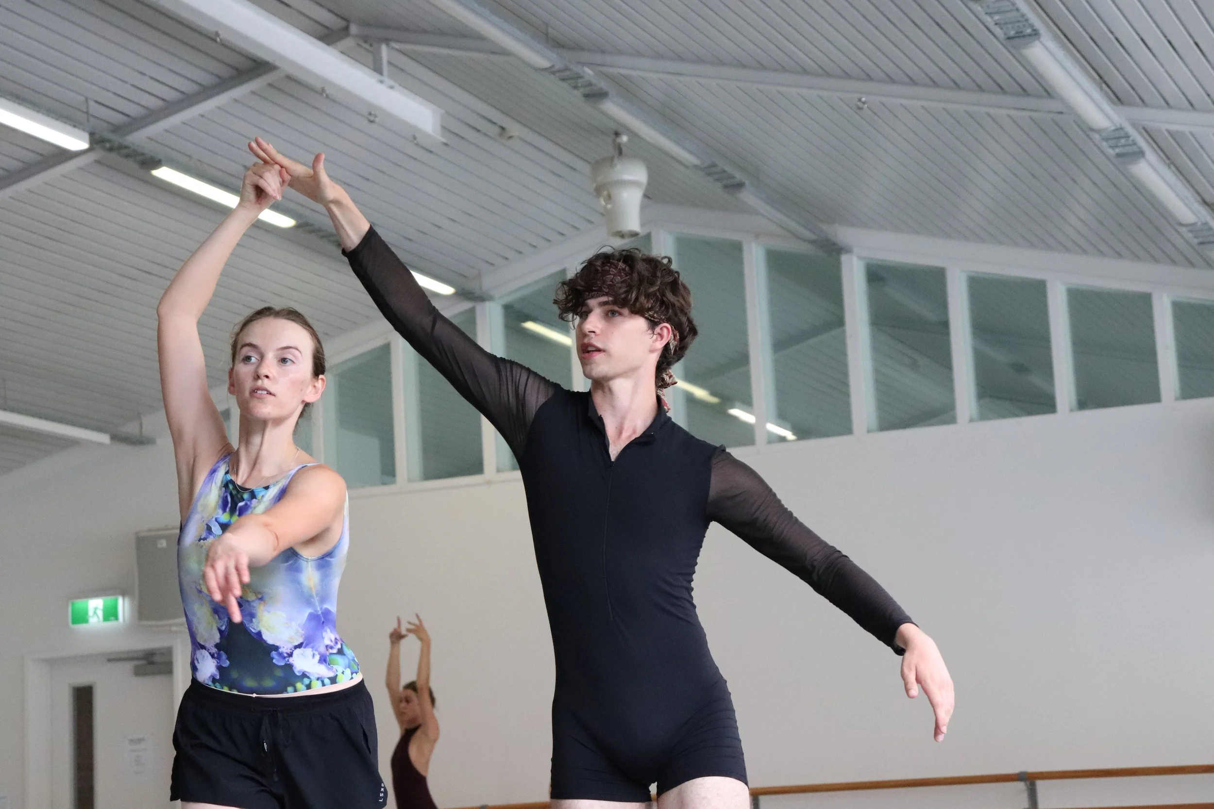 Dancers in pas de deux