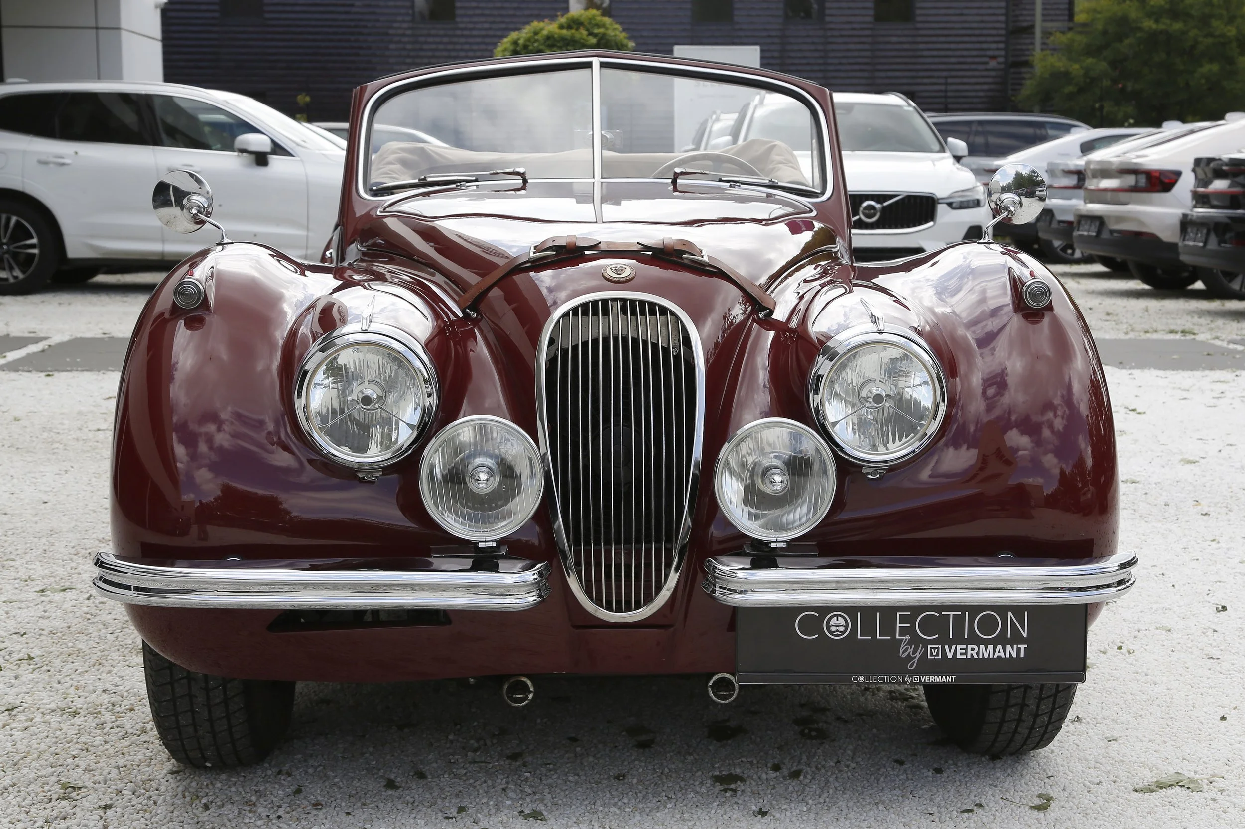 Jaguar XK120 DHC (11).JPG