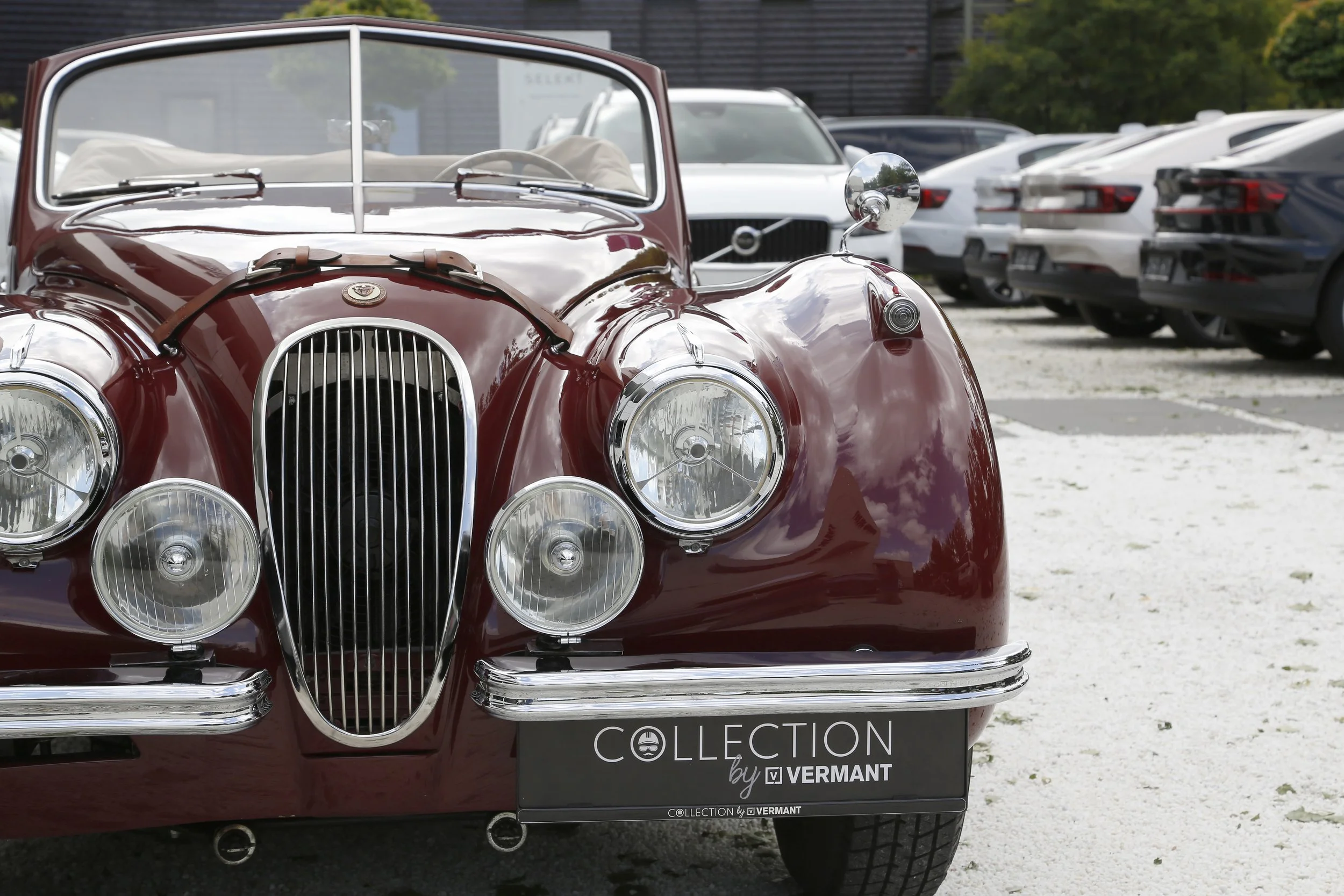 Jaguar XK120 DHC (13).JPG