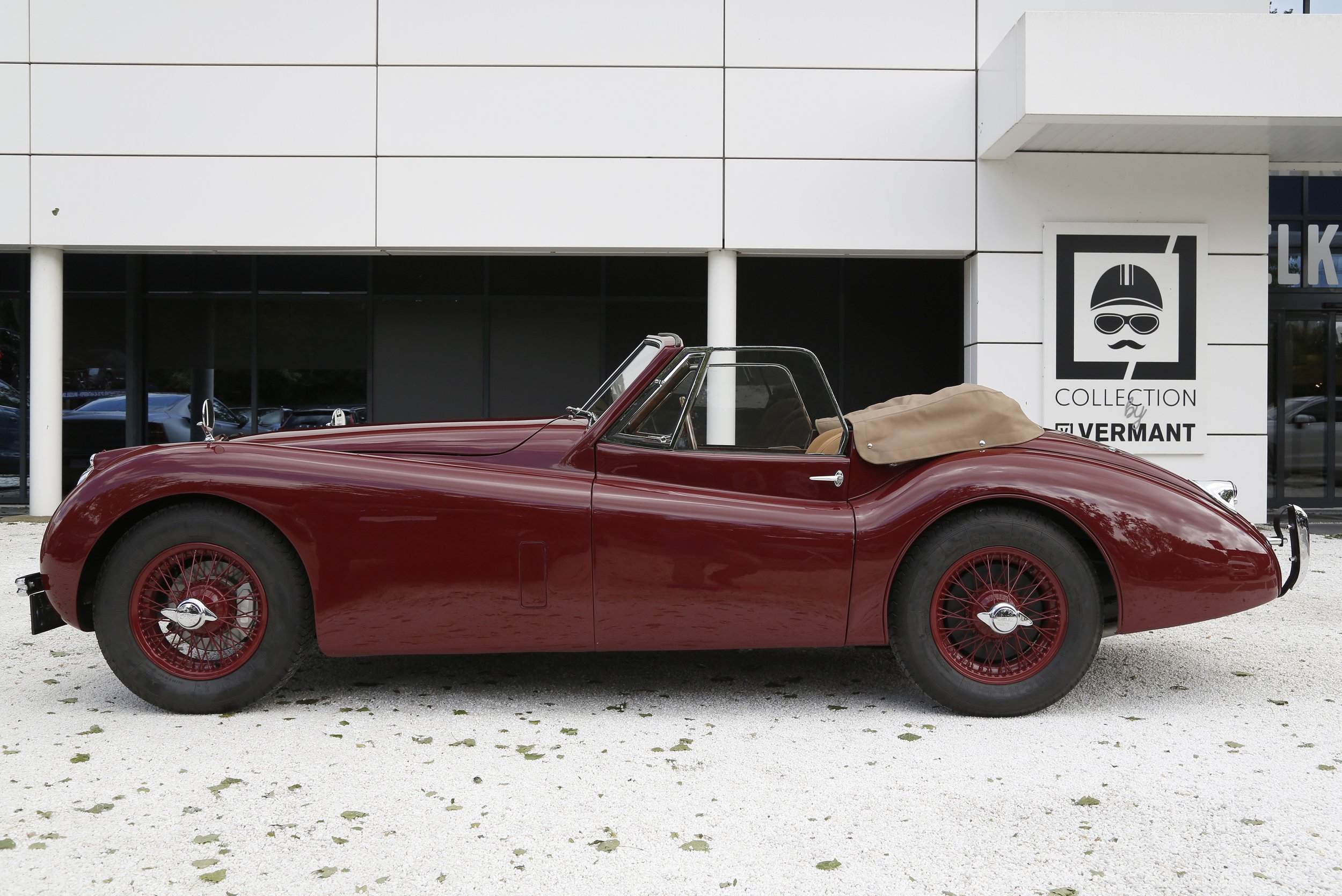 Jaguar XK120 DHC (17).JPG