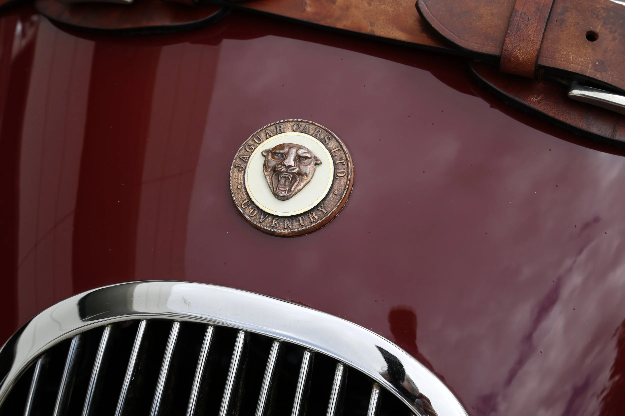 Jaguar XK120 DHC (21).JPG