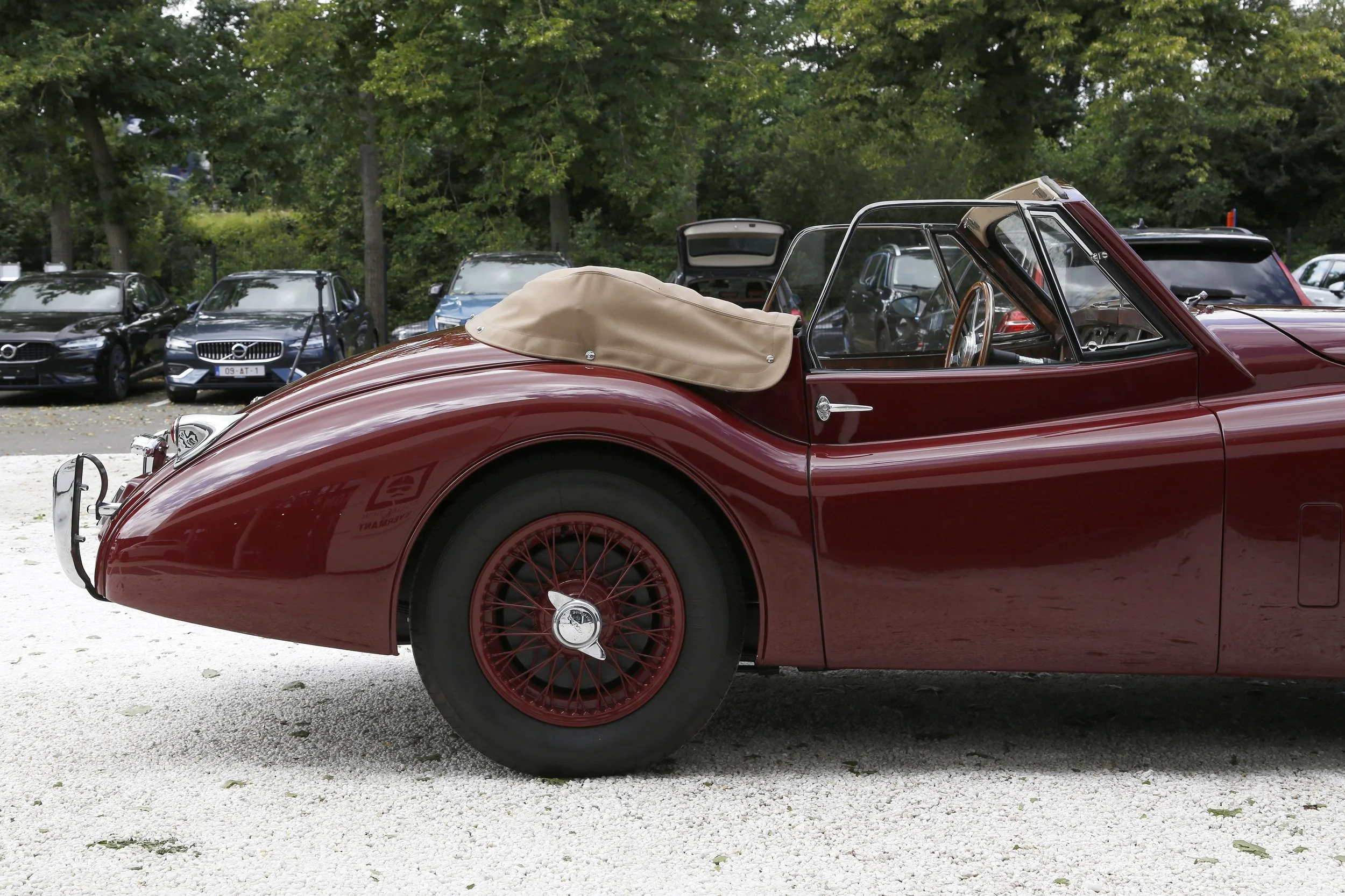 Jaguar XK120 DHC (10).JPG