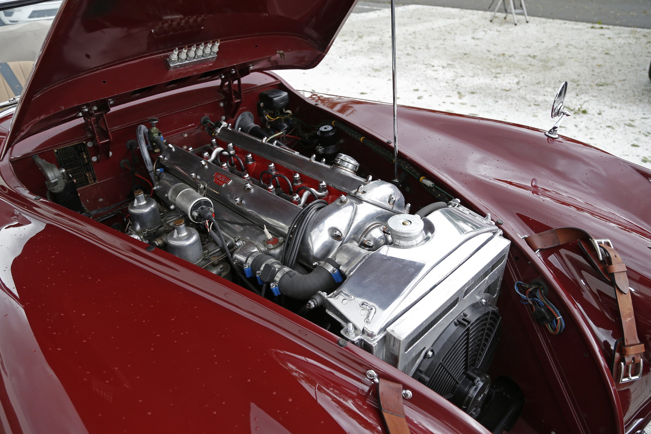 Jaguar XK120 DHC (50).JPG