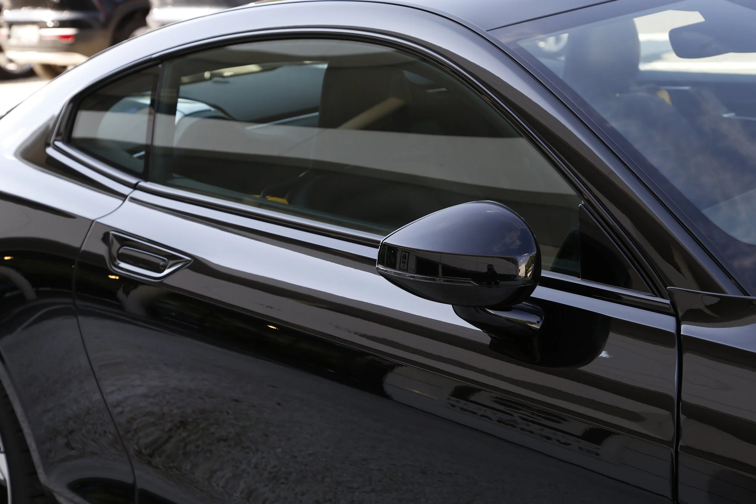 Polestar 1  (30).JPG