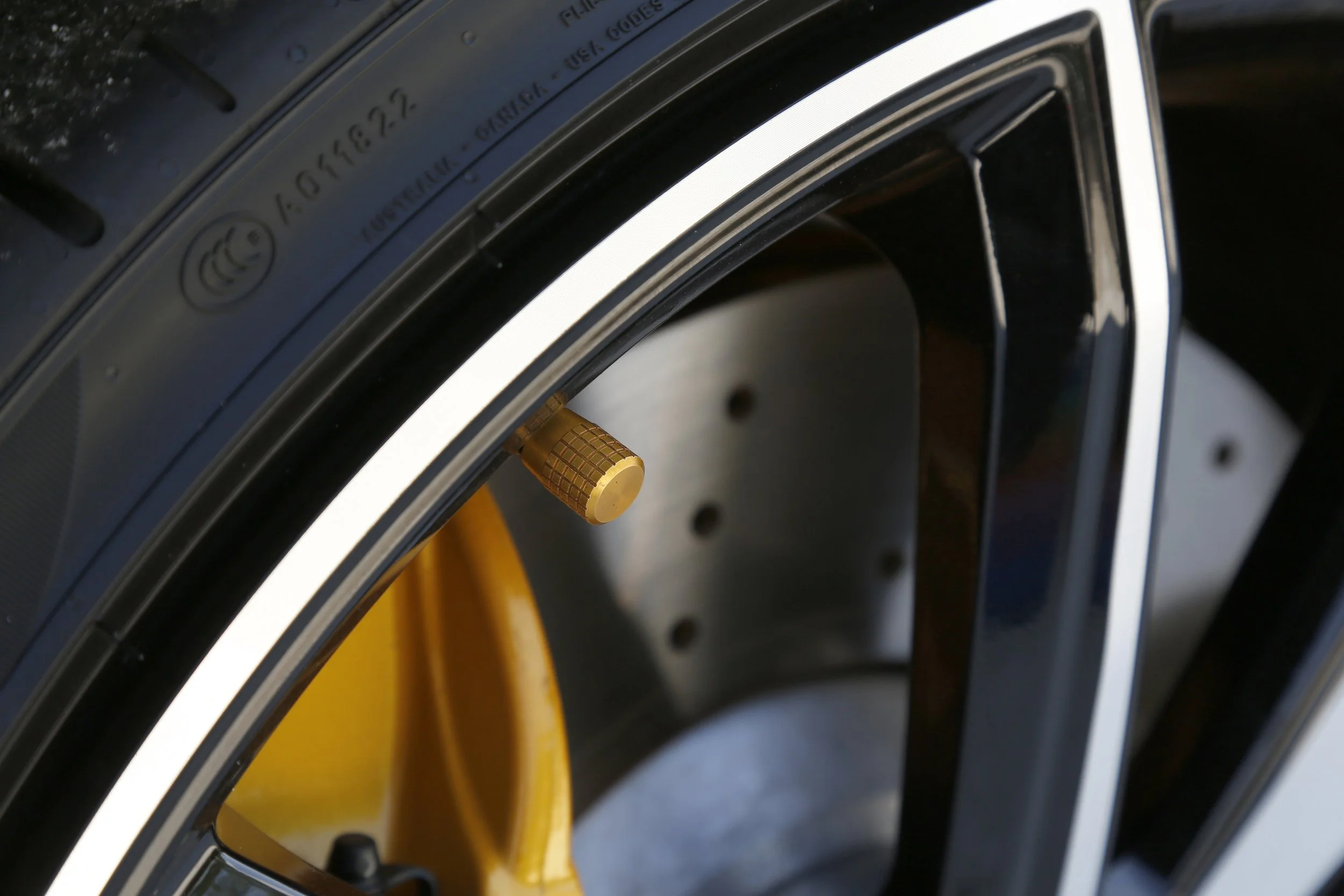 Polestar 1  (35).JPG