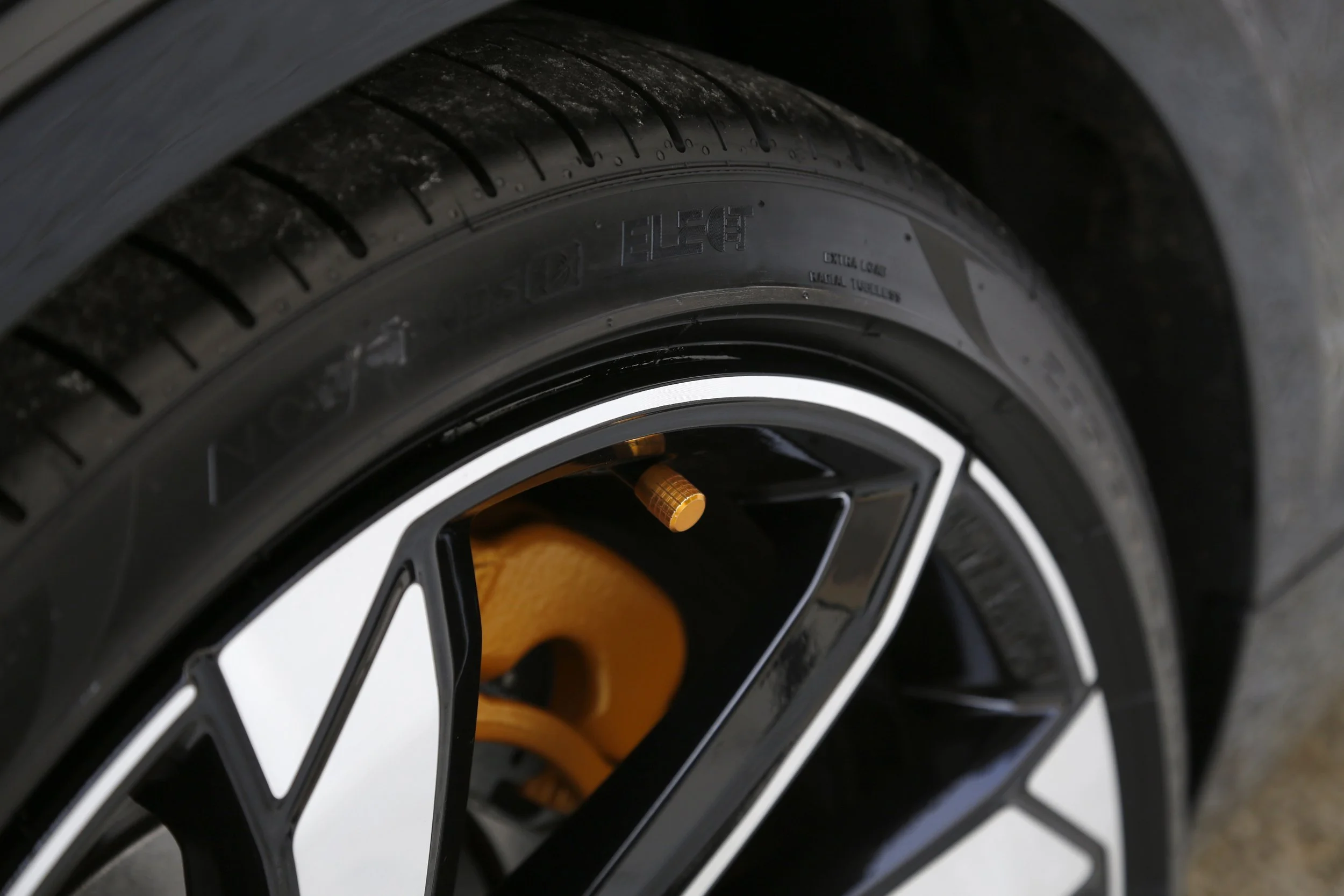 Polestar 1  (37).JPG