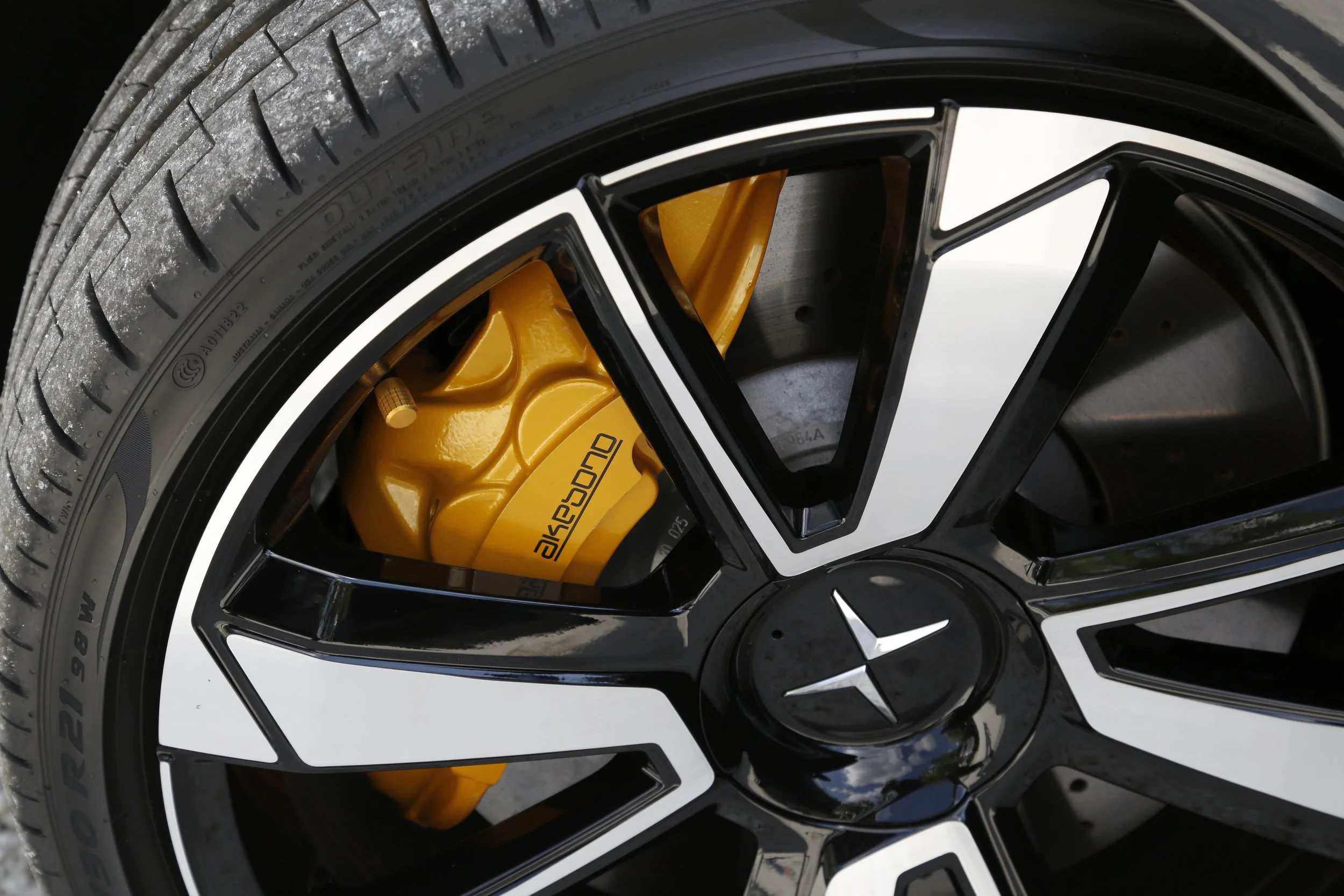 Polestar 1  (39).JPG