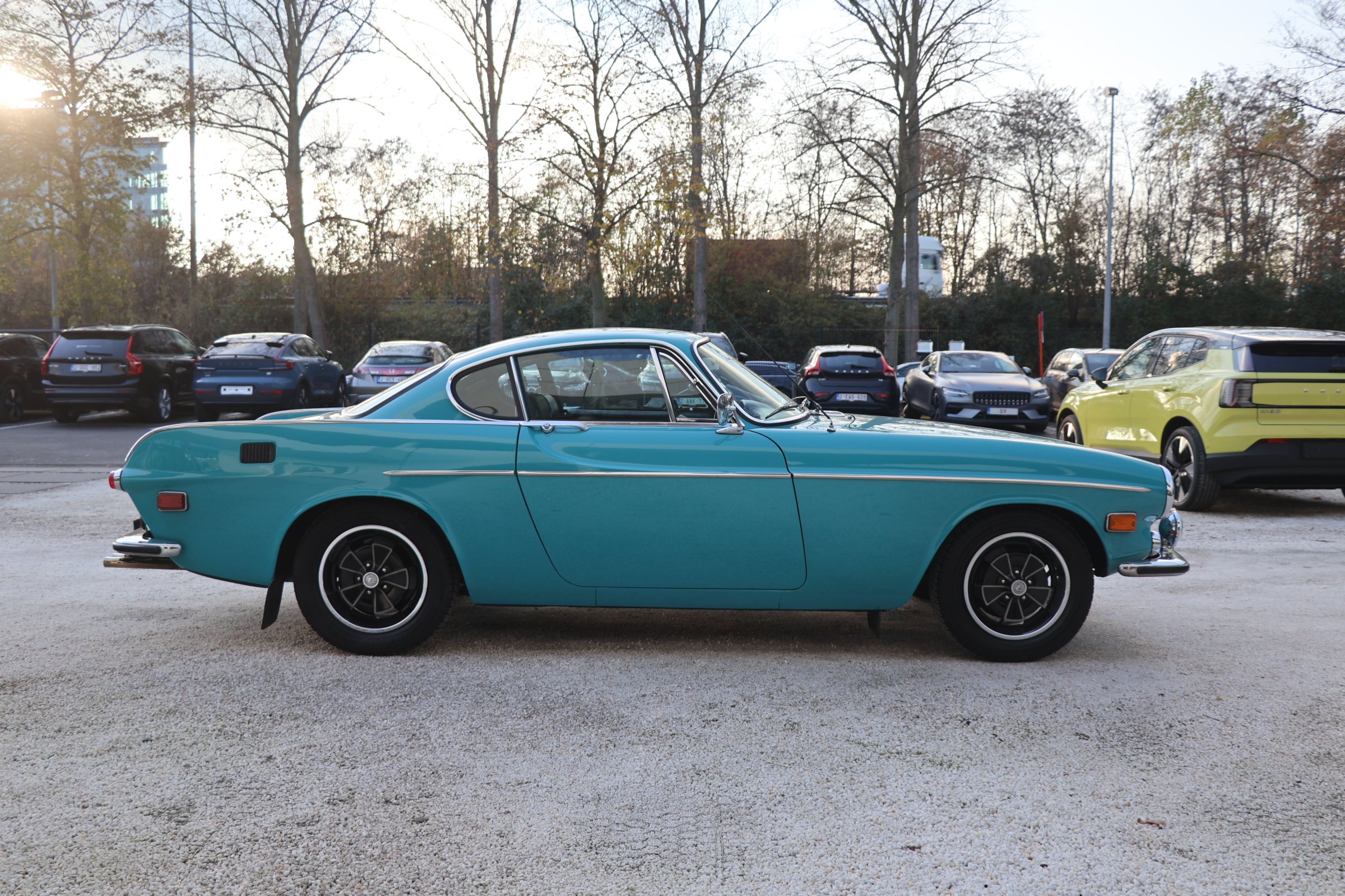 Volvo P1800 E (12).JPG