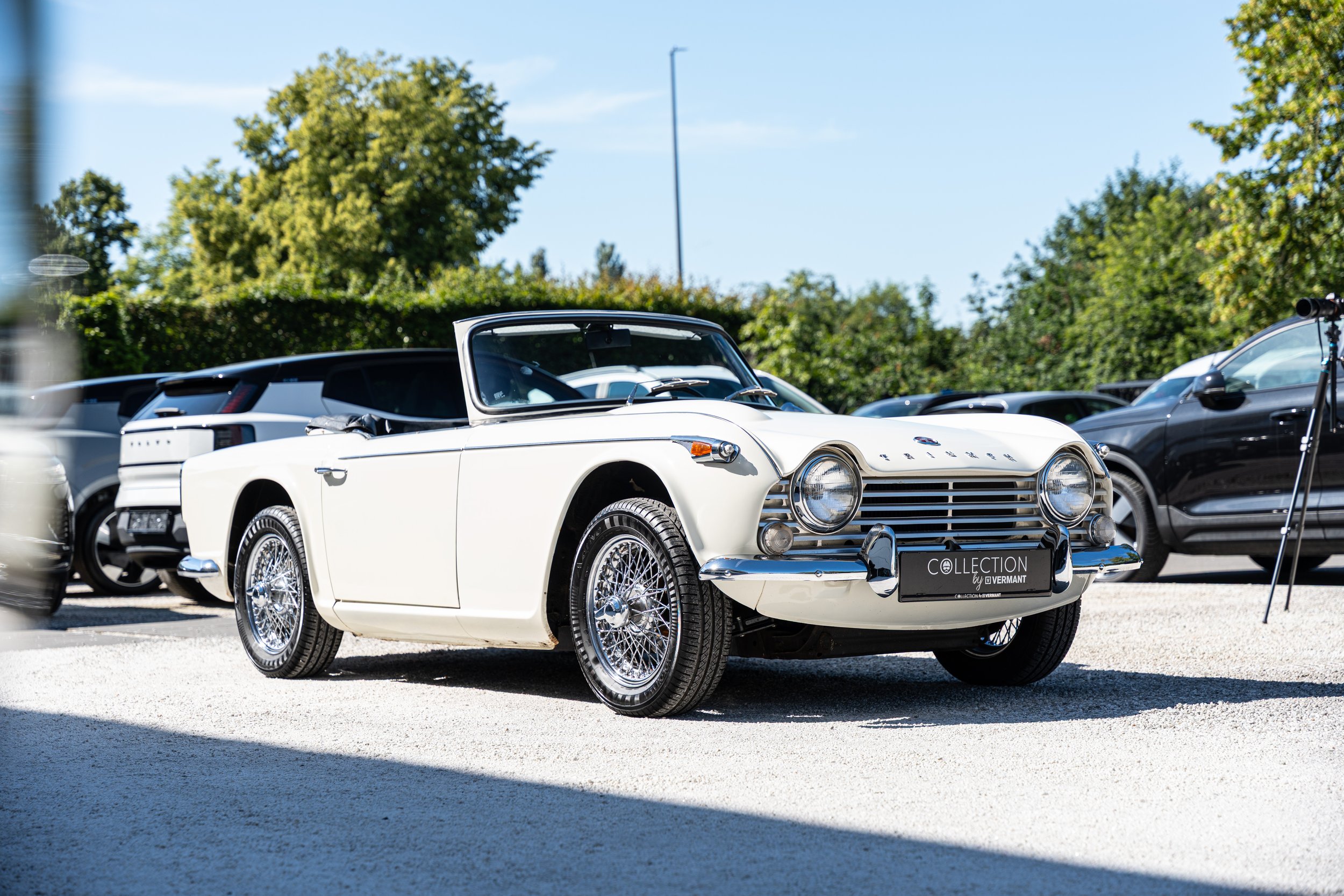Triumph TR4 IRS (54).jpg