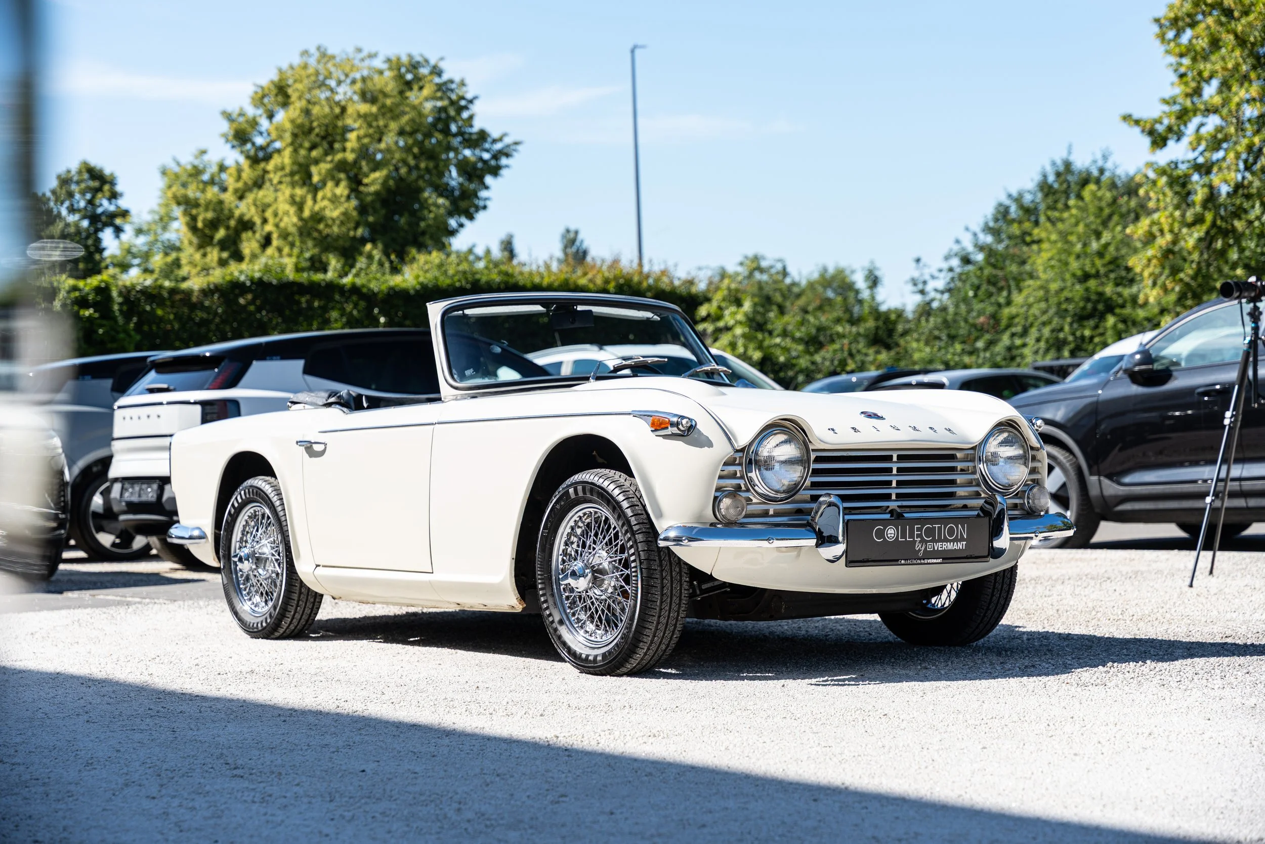 Triumph TR4 IRS (54).jpg