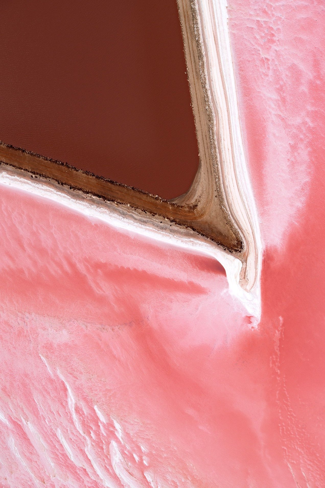 pink+lake+11+small.jpg