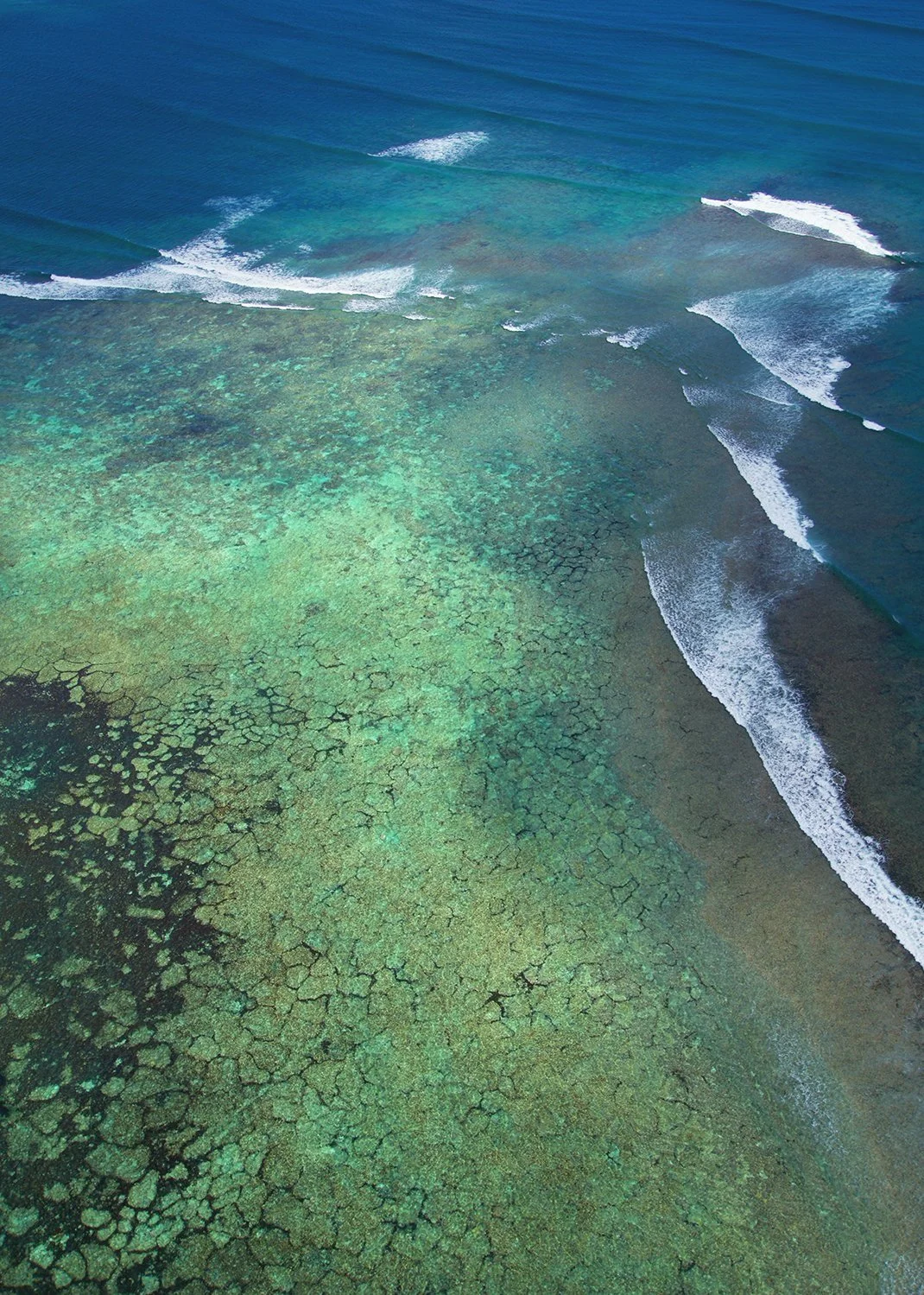 Abrolhos+4+sm.jpg