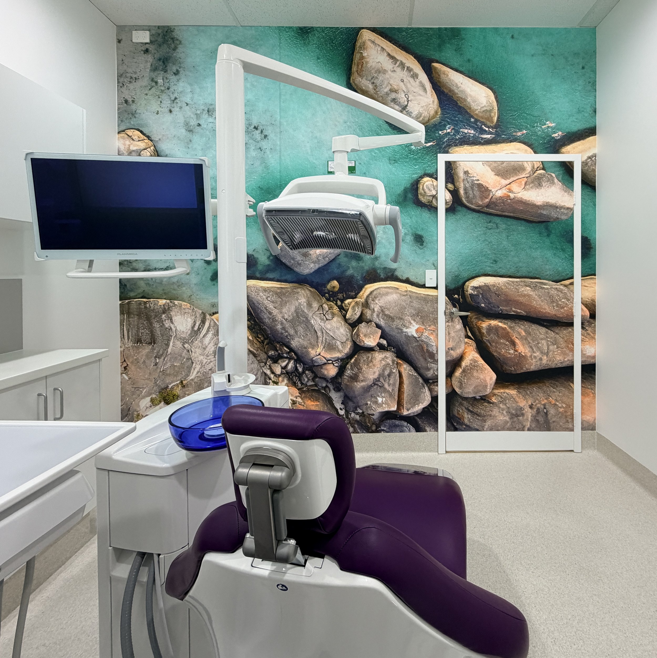 Swimming with Elephants