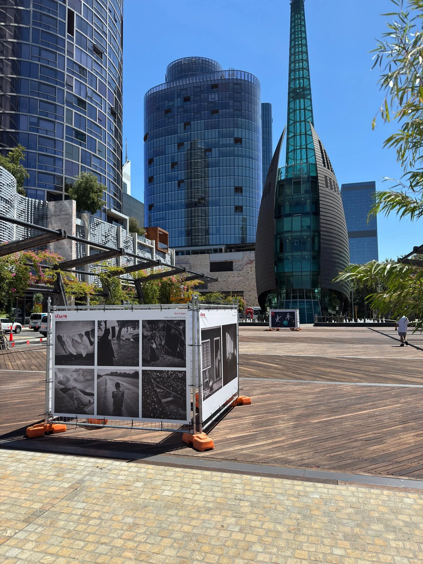 Head On wa life 3.jpeg