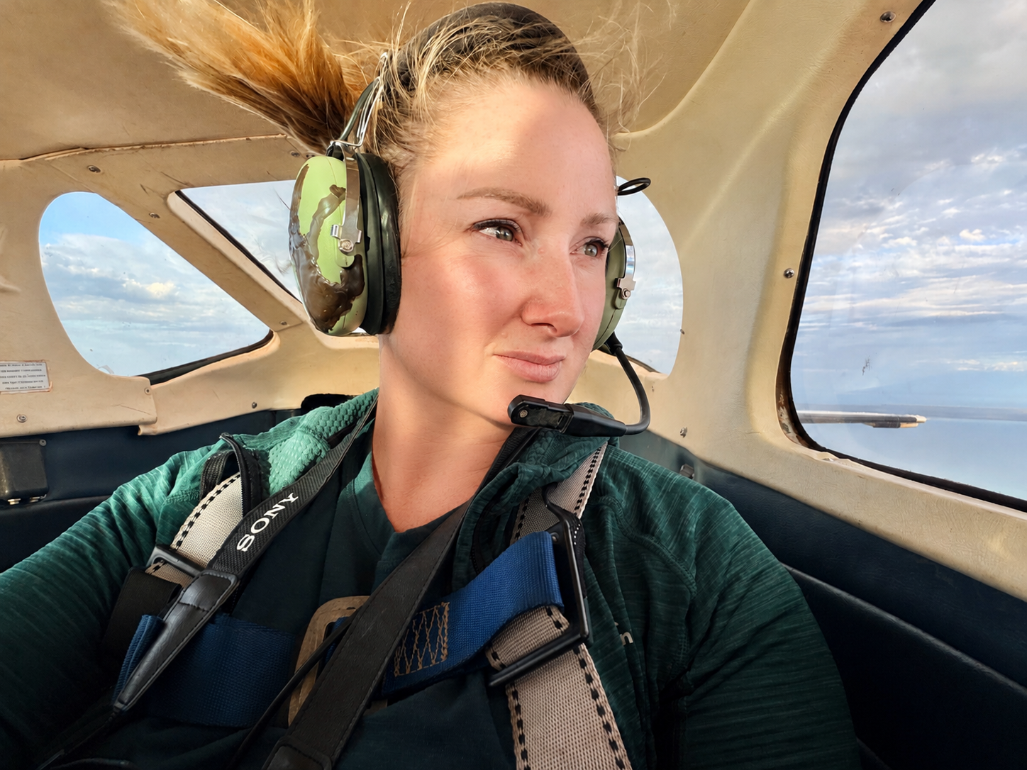 From the Skies of Shark Bay 