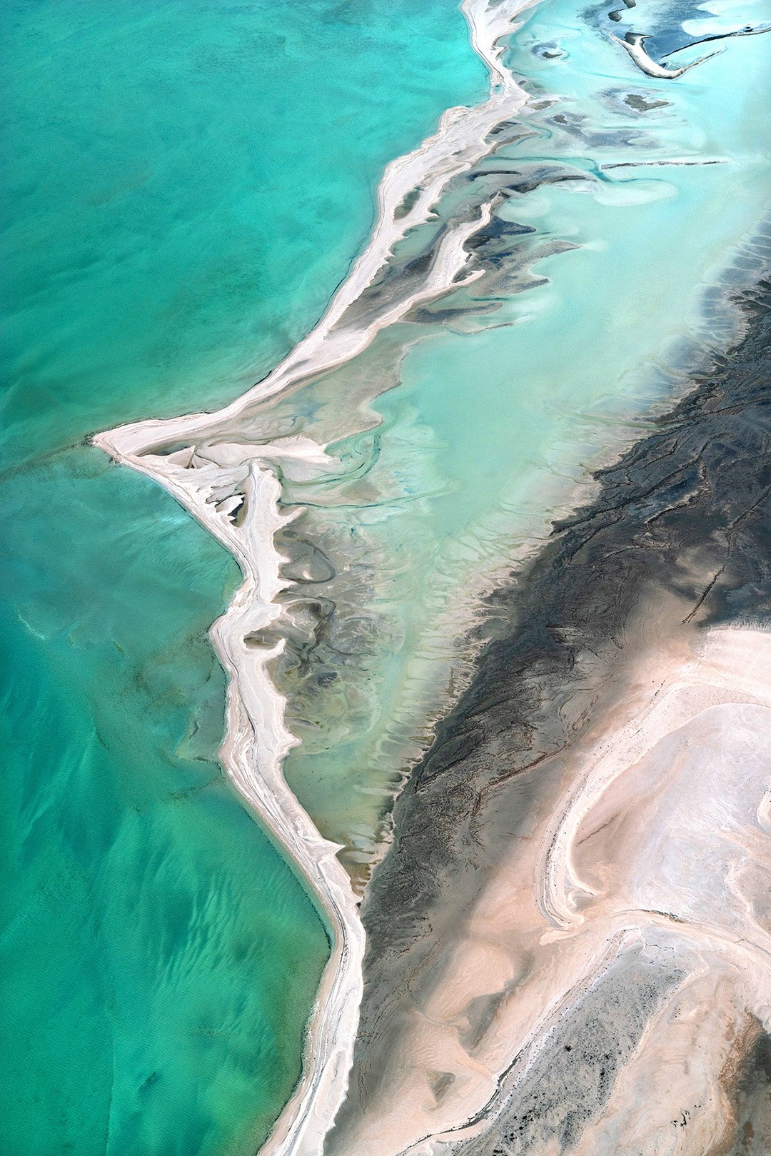 A Profile in Salt and Sand.jpg