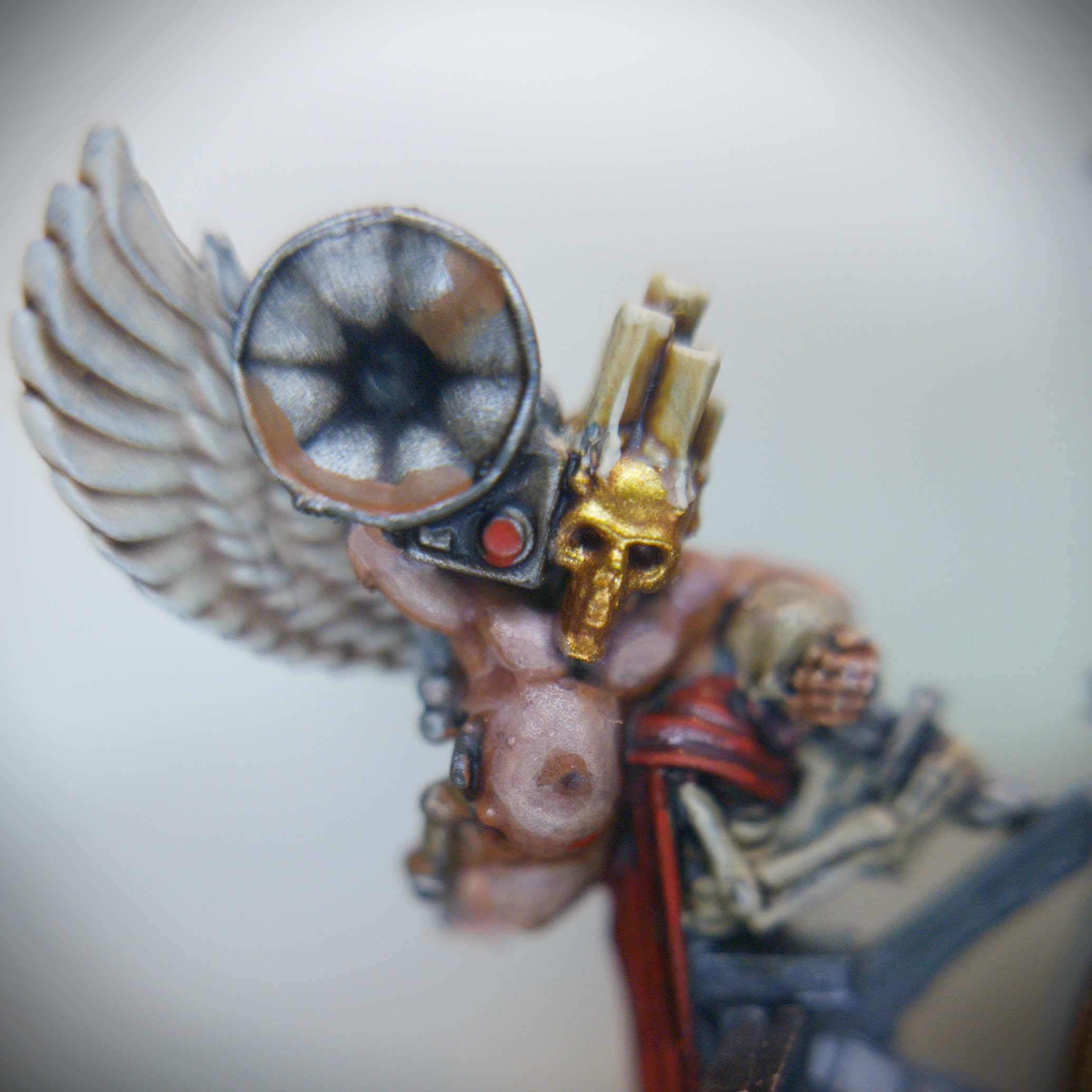 House Ko'iron Ministorum Delegation Cherub