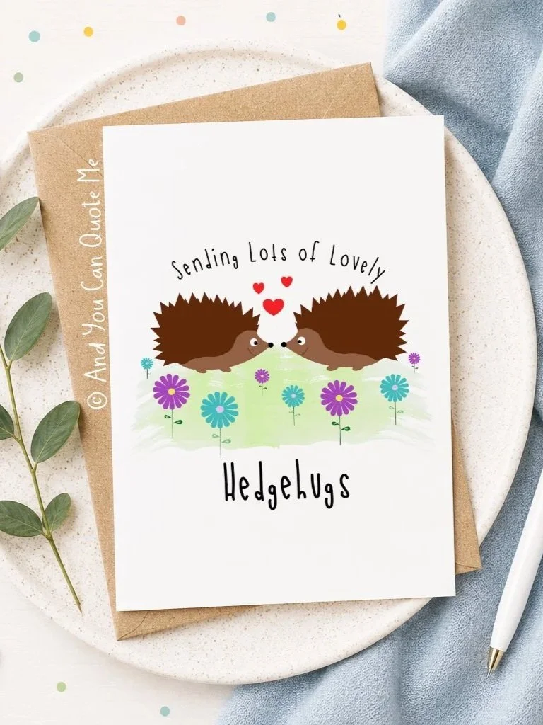 'Hedgehugs'