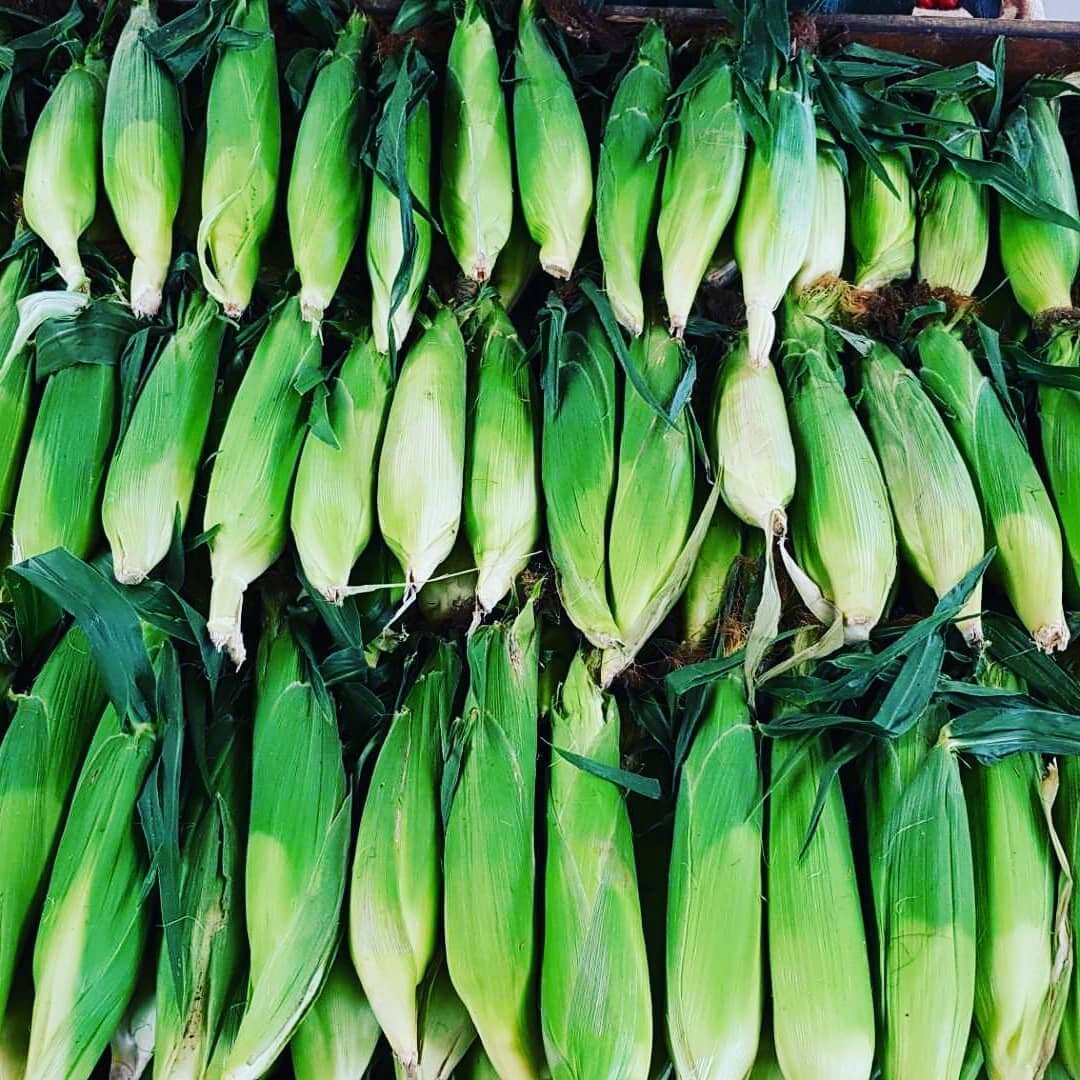 It's corn season in the valley!
🌽🌽🌽🌽🌽🌽🌽🌽🌽🌽 #hennigarsfarmmarket 
#hennigars 
#annapolisvalley 
#peachesandcream 
#localcorn
