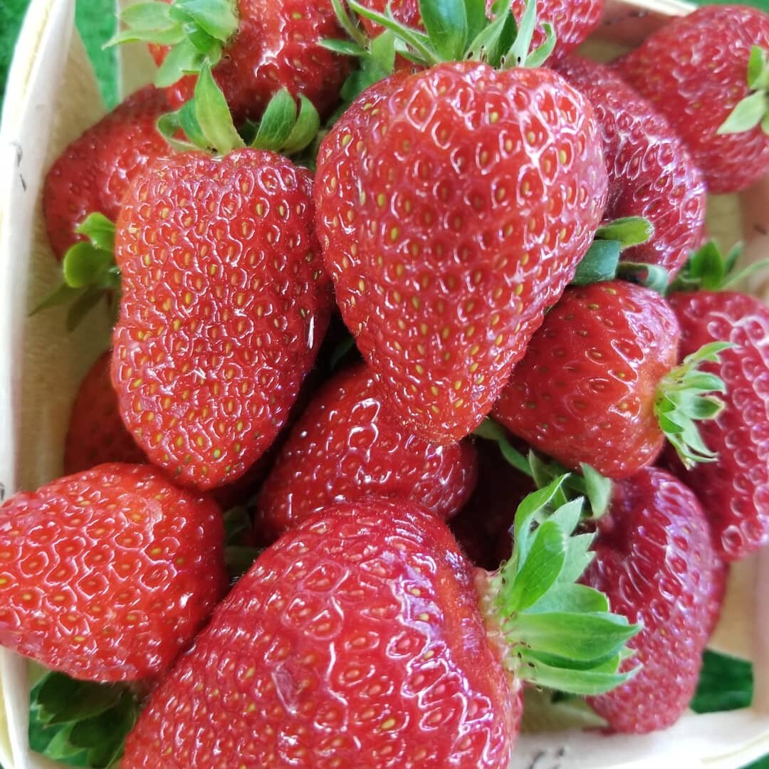 It's strawberry season! 🍓🍓🍓 #hennigarsfarmmarket 
#hennigars
#strawberries
#farmmarket
#doitinwolfville 
#annapolisvalley 
#novascotia