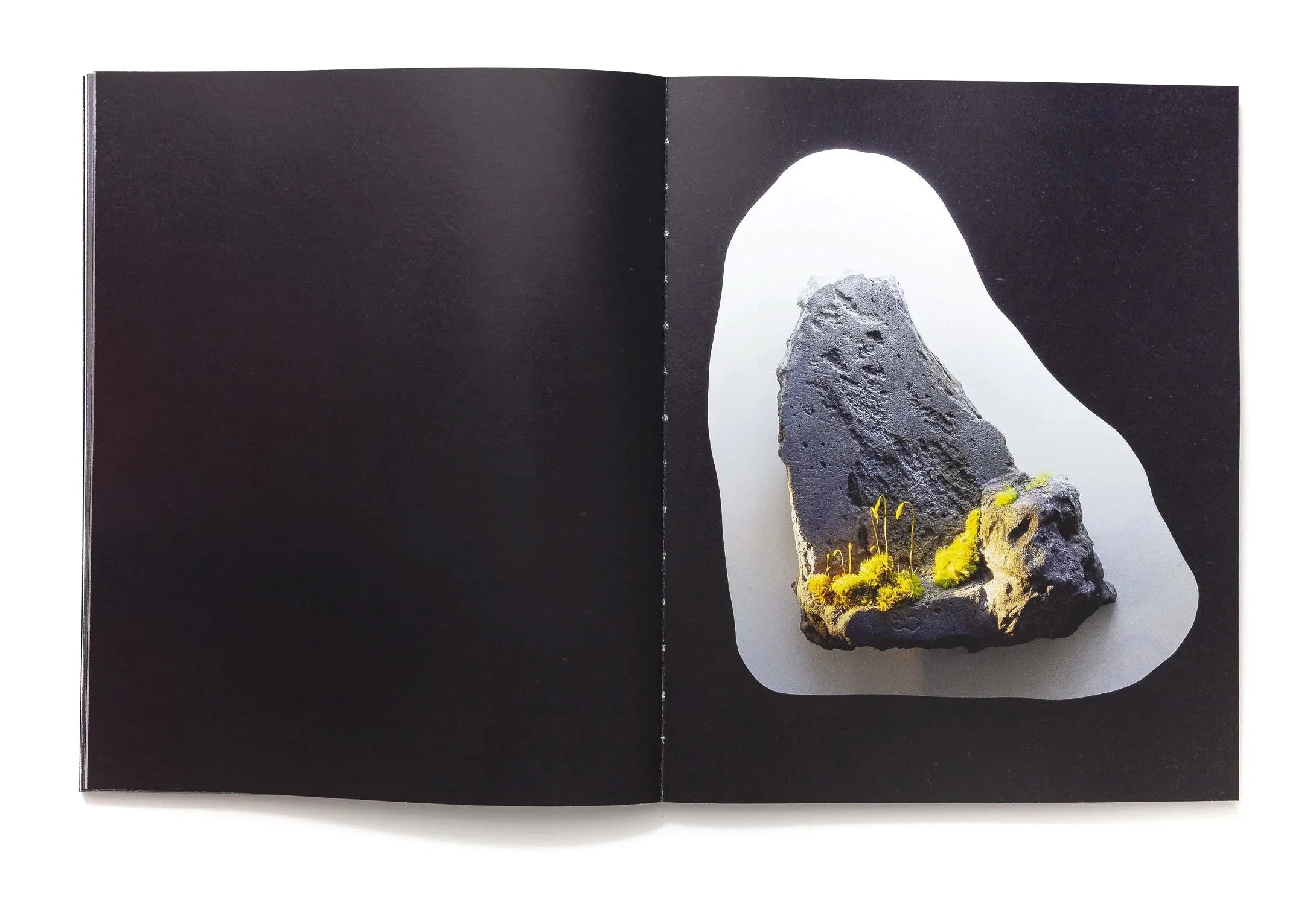 Spread from the book Concealed Landscapes about Oscar Furbacken's art, by Faethon Press 2025. view of one of his micro sculptures.