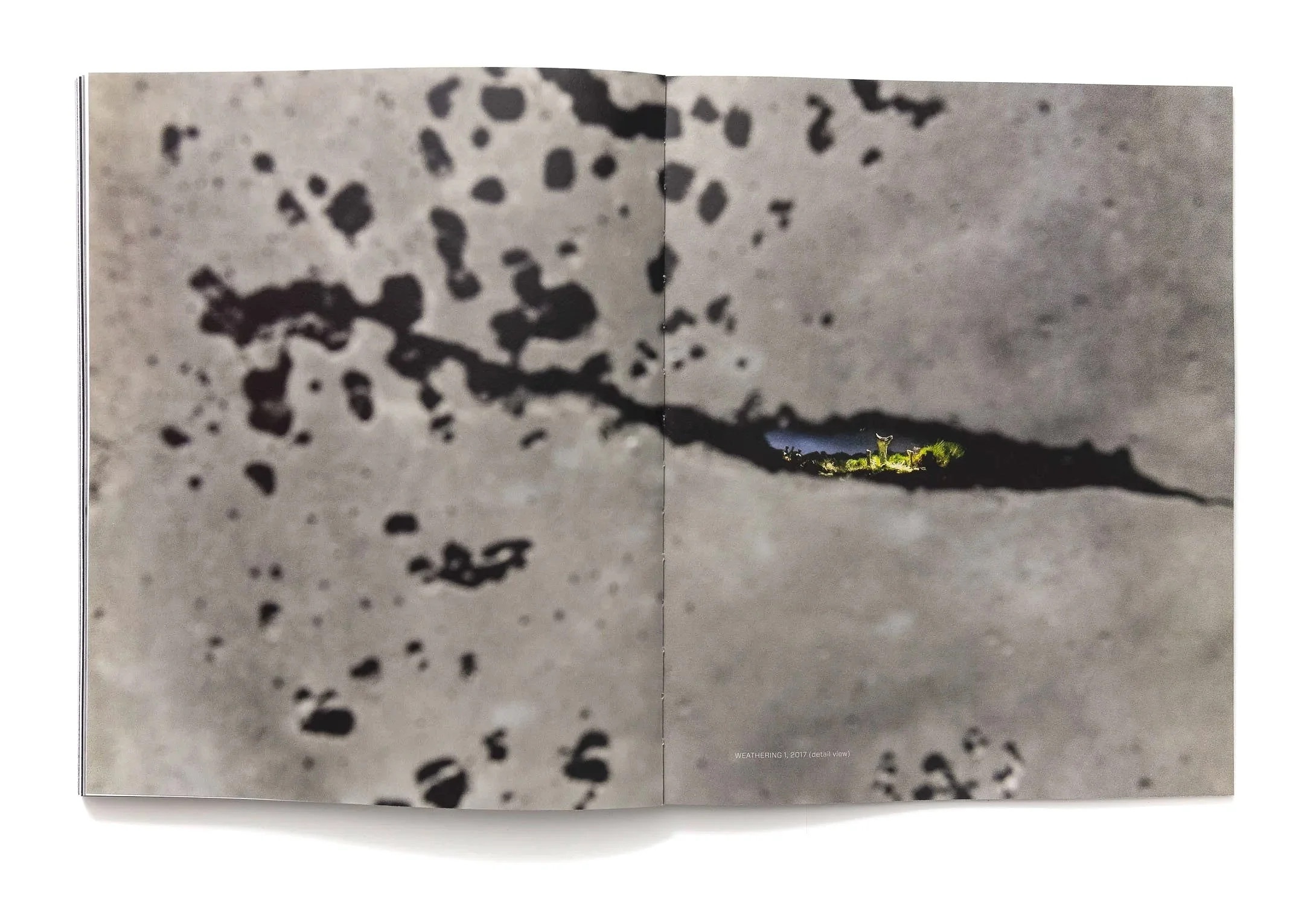 Spread from the publication Concealed Landscapes about Oscar Furbacken's art, by Faethon Press 2025. Detail view of Wheatherings 1.