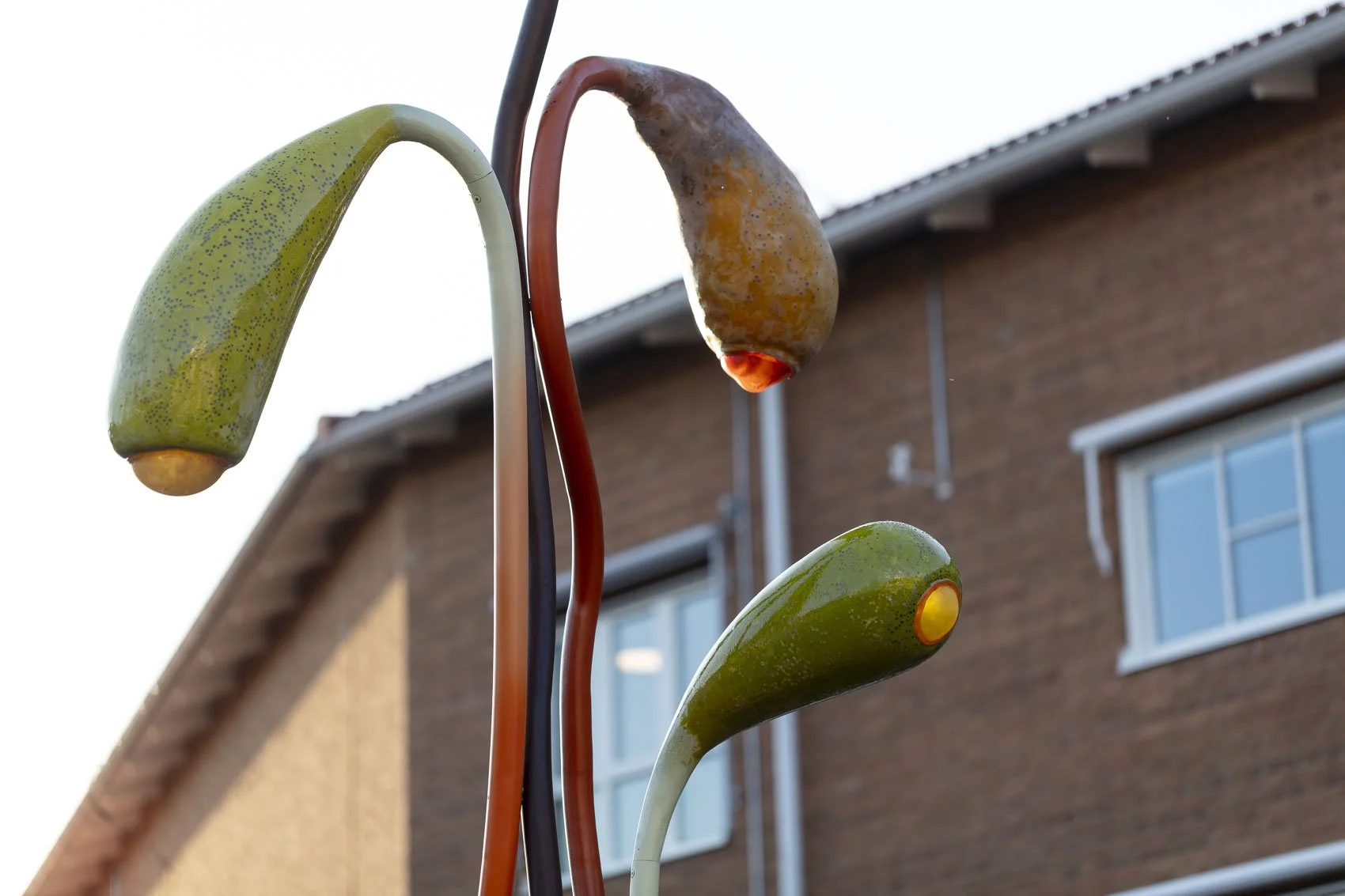 RegenerationalSporophytes_FurbackenPublicArt_42w.jpg