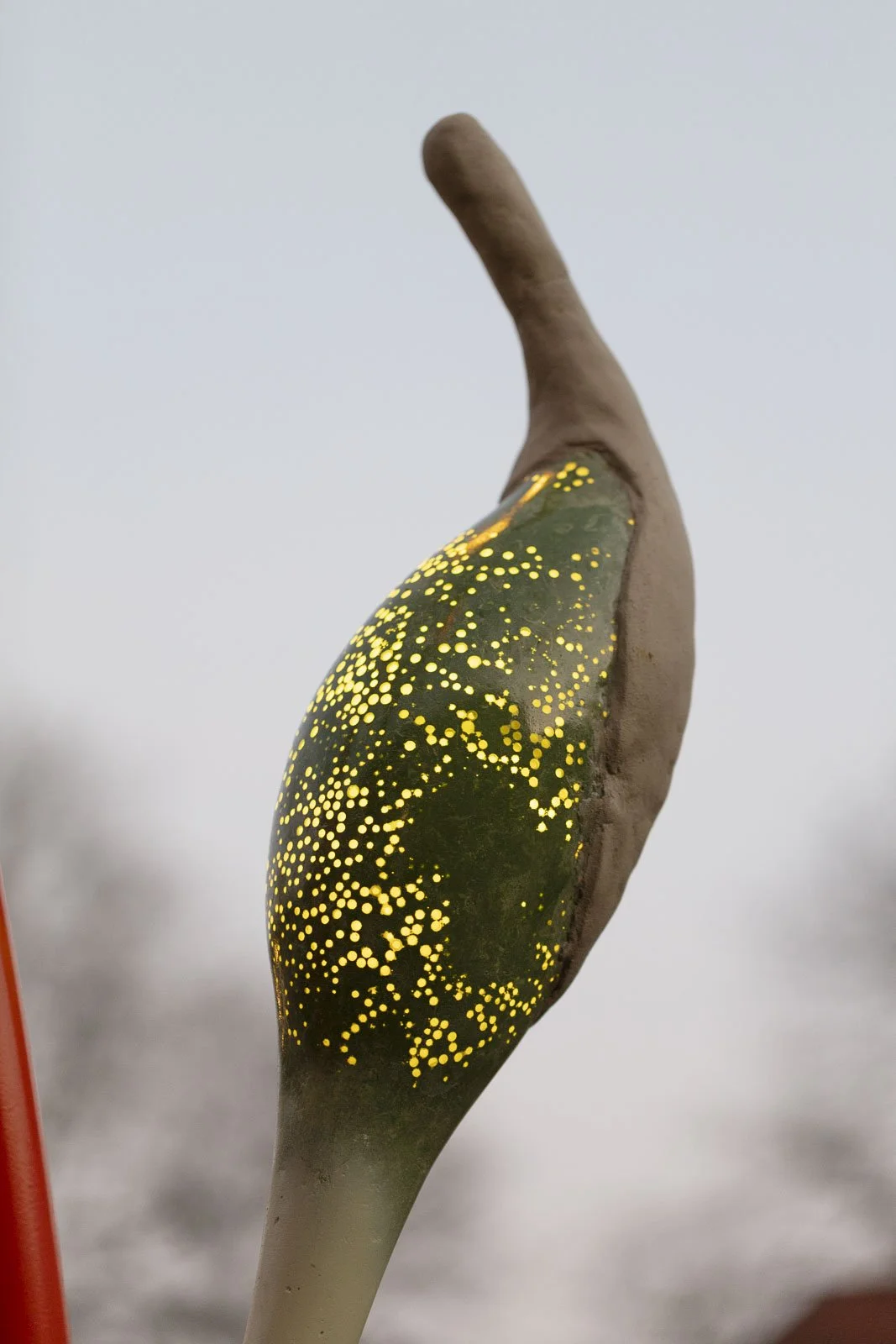 RegenerationalSporophytes_FurbackenPublicArt_44w.jpg