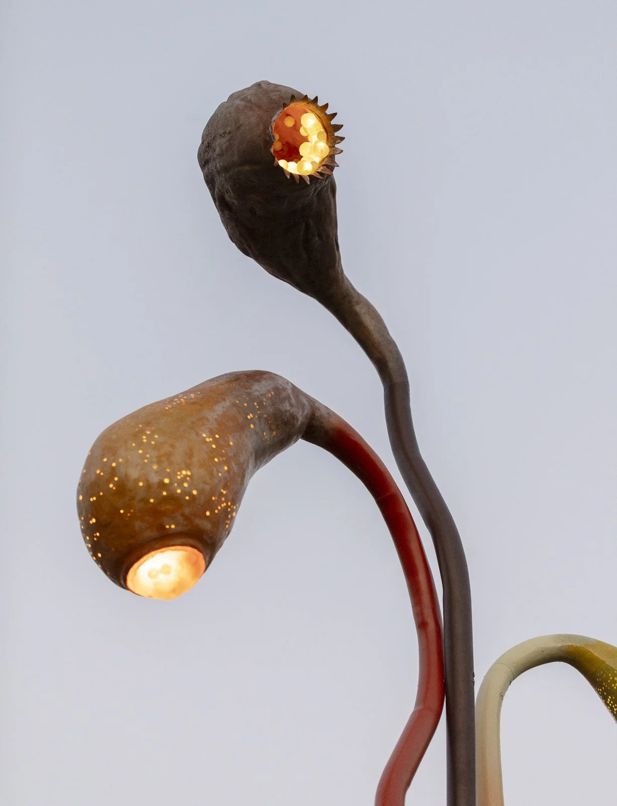 RegenerationalSporophytes_FurbackenPublicArt_45w.jpg
