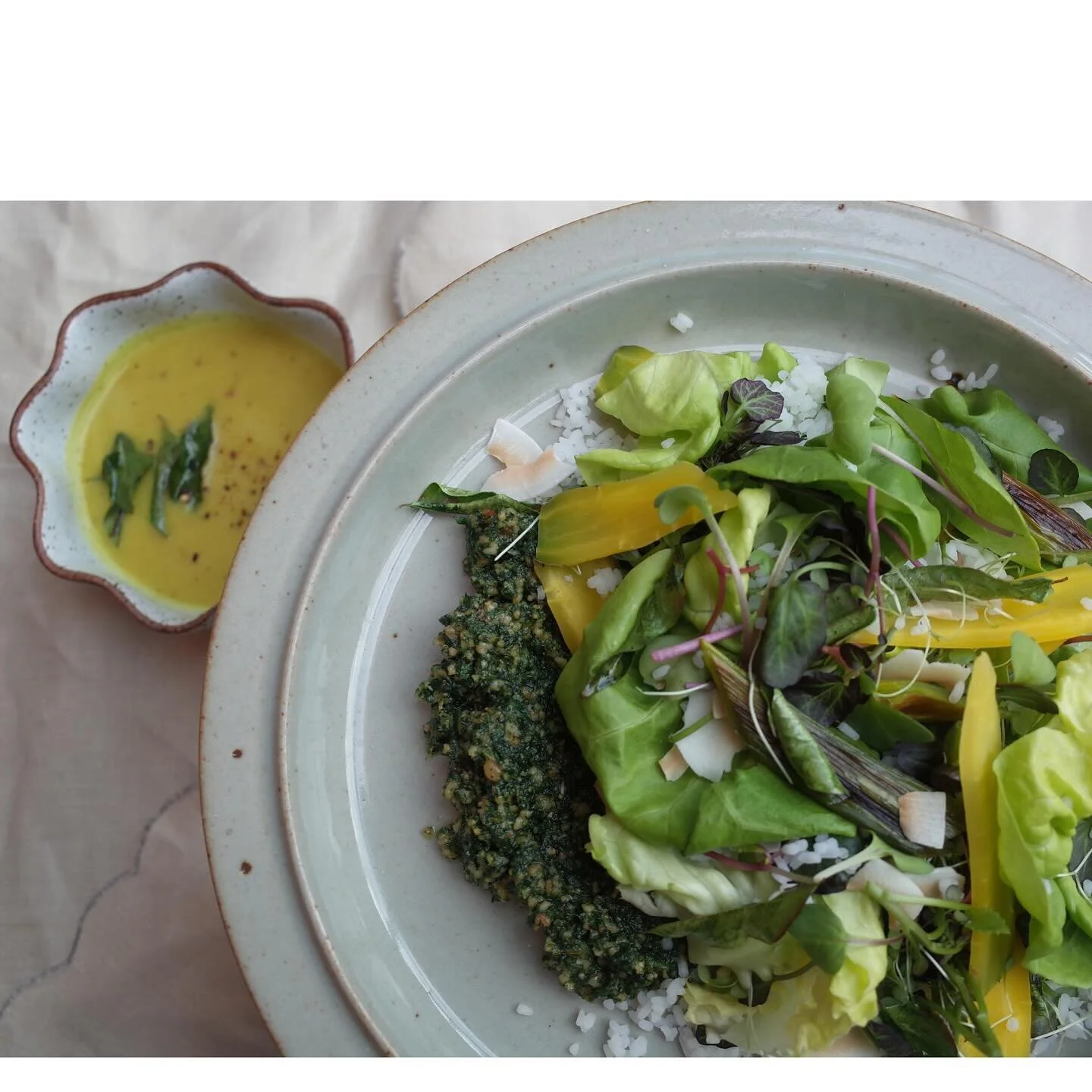 ~
micro greens 
nettle pesto 
broken rice 
split mung bean broth 

#creativekitchari as #soupandsalad
moving out of heavy, moist &amp; stable qualities into the light, dry &amp; expansive 

#localandseasonal
#oppositesbringbalance
#bitter
#astringent