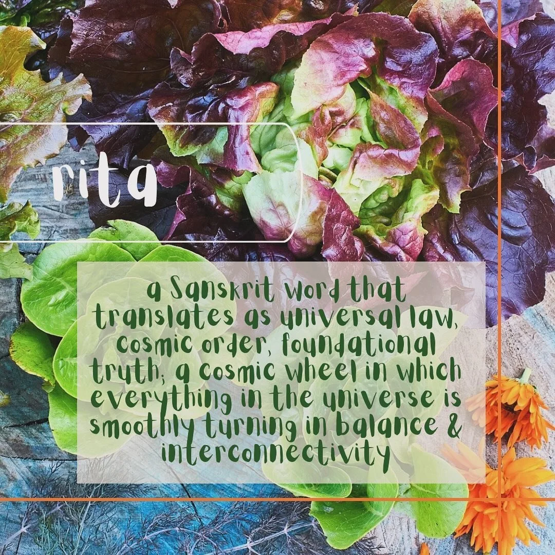 ~In this word alone, I can convey my why &amp; what pulls me towards Ayurveda and the work that I do now.
&nbsp;
There is an inherent pattern in the universe that reflects in us, micro macro. We feel it in our bodies and it&rsquo;s all around us, in 