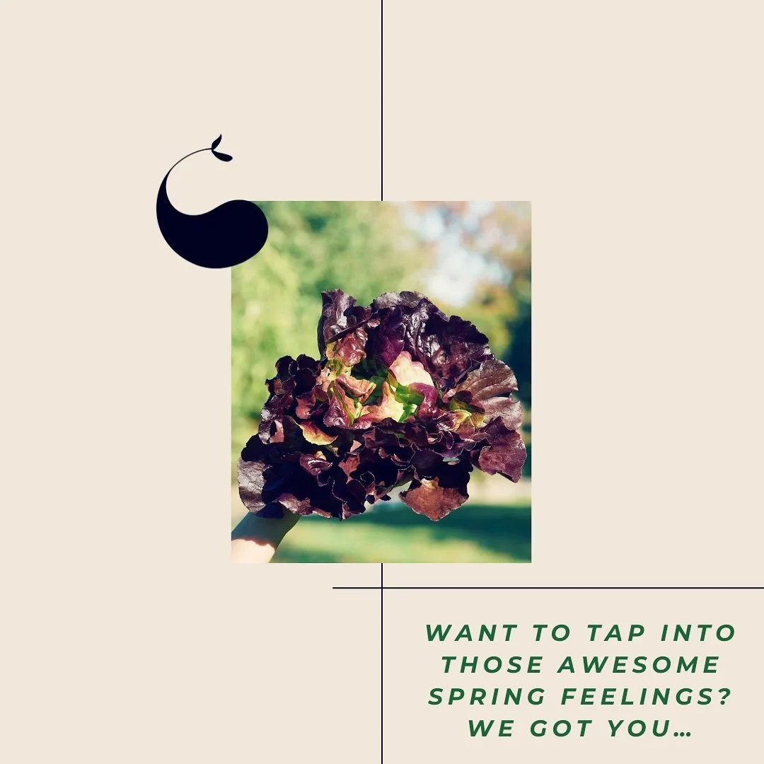 ~Ayurvedic cleansing is not about deprivation, it is about living fully in our bodies while we come into right relationship with our food
~Katie Silcox @theshaktischool