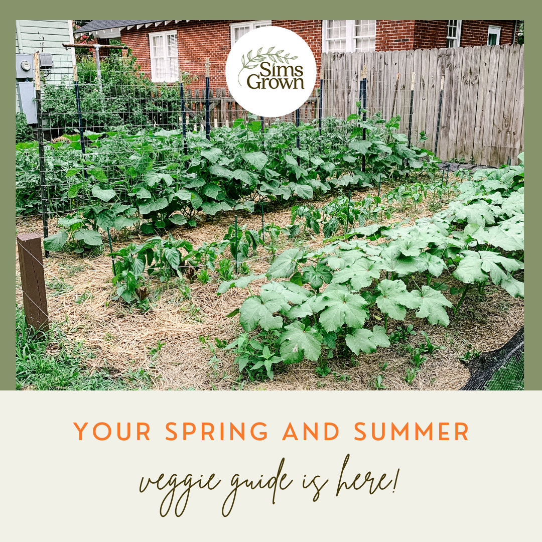 Eager to start planting, but aren’t sure where to start? We’ve put together a free guide that walks through all the details AND gives you the links to exactly what you need. This guide gives some specific tips like how much sunlight and water your p…