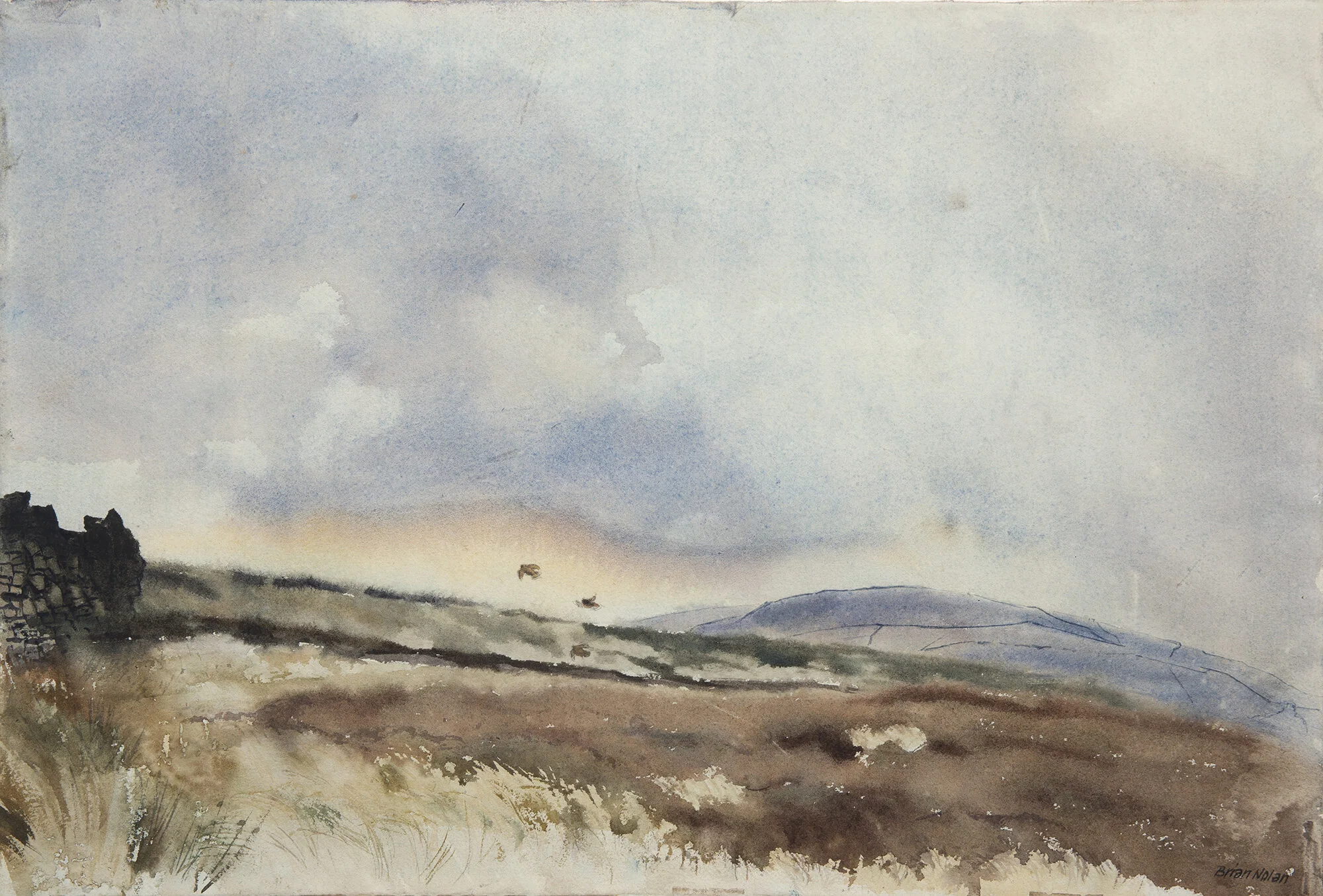 Startled Grouse. Watercolour, 61 x 78 cm.