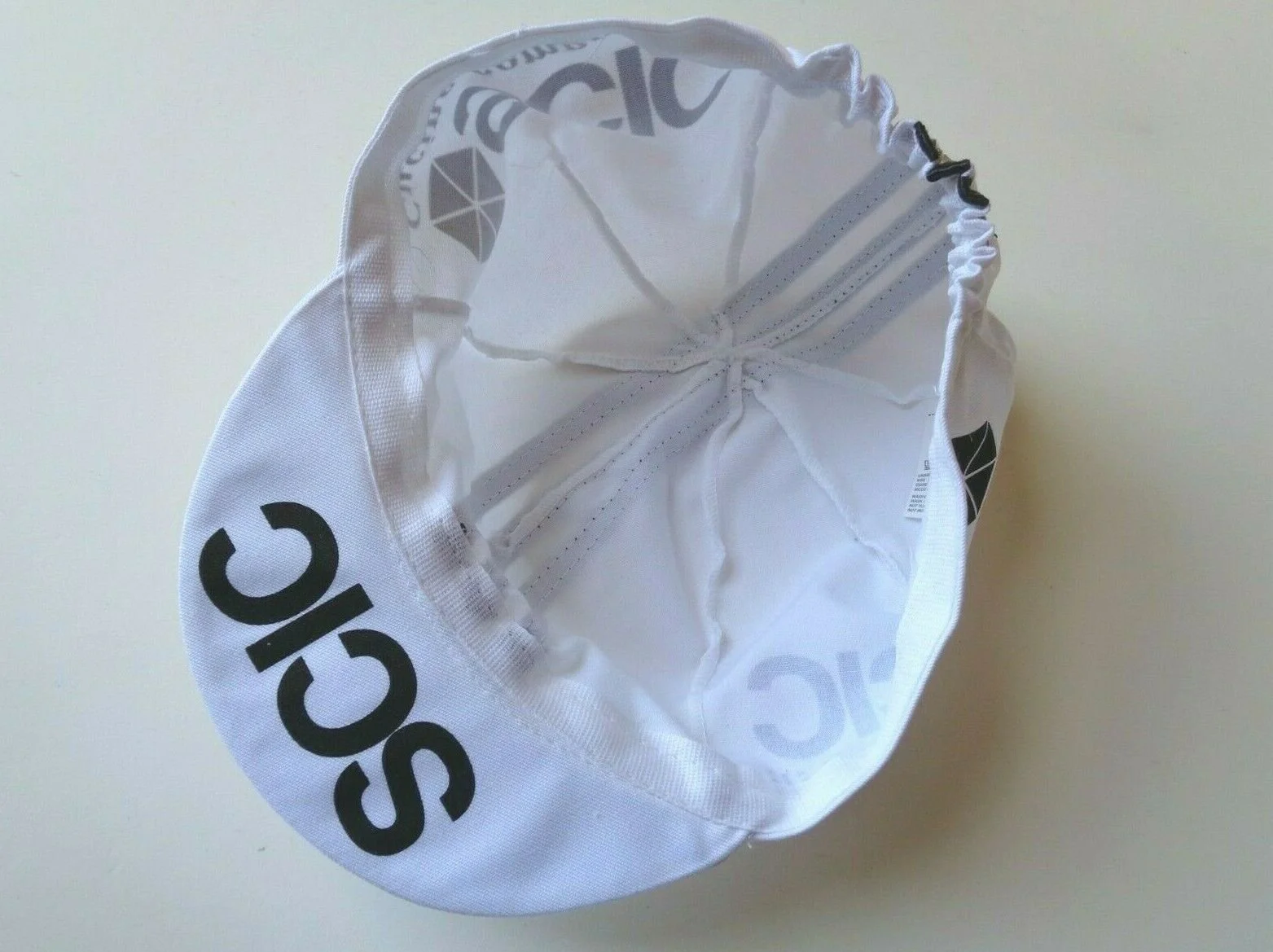 SCIC cap4.jpg