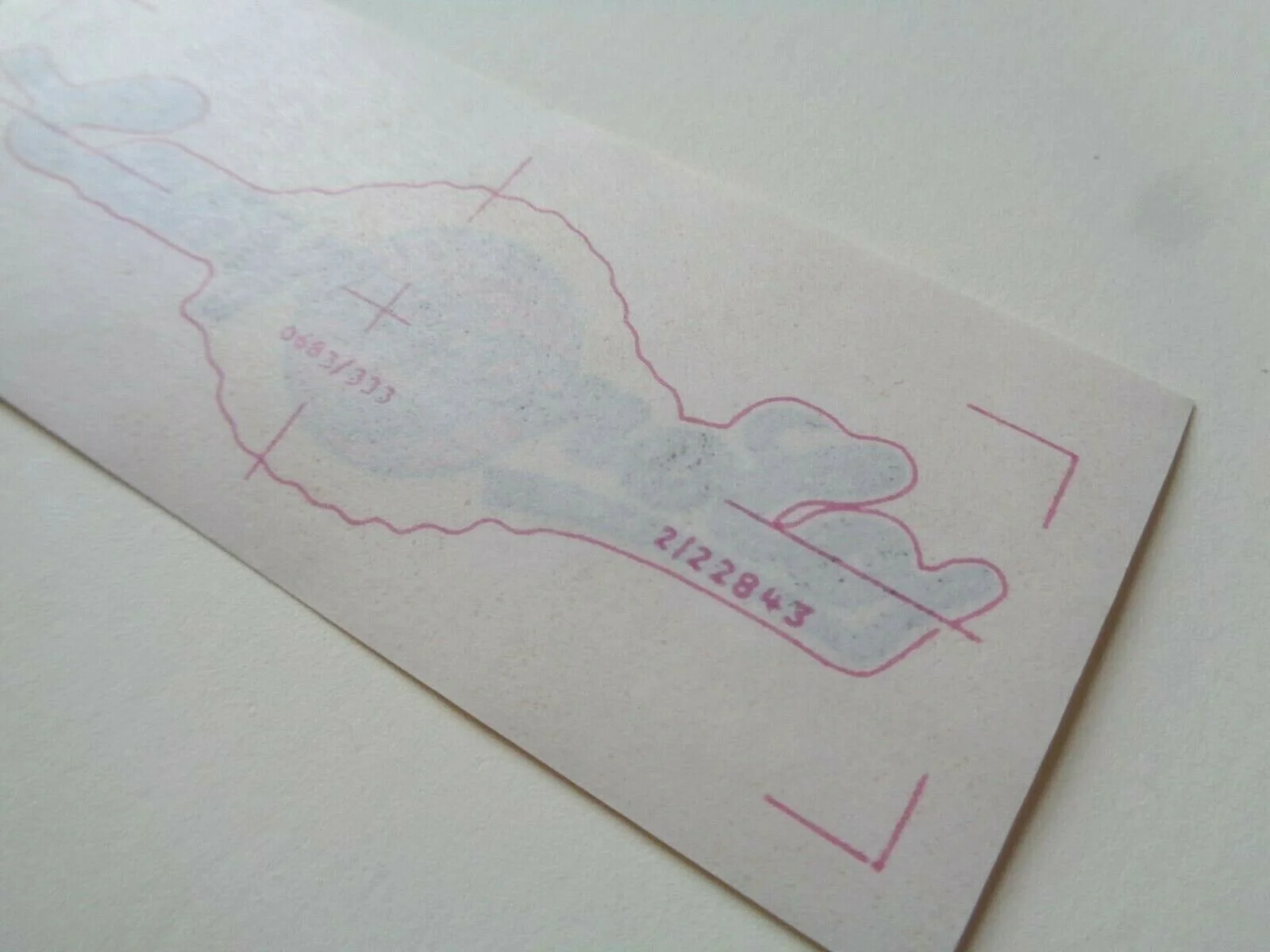 WORLD CAMP DECAL4.jpg