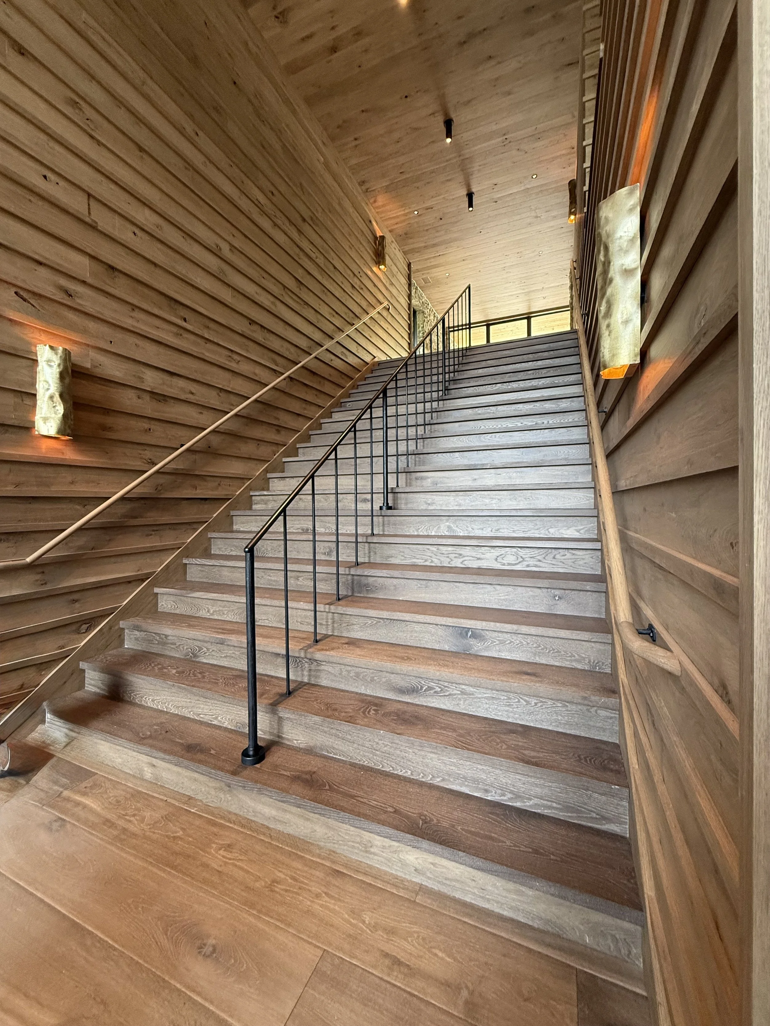 LDC_Rail_Interior Iron Railings.jpg