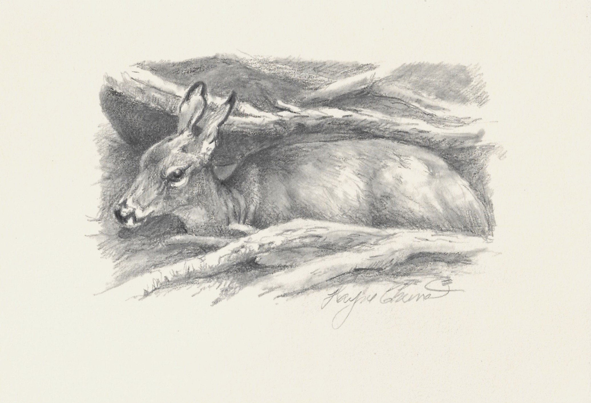 Happy to announce "Yearling" 5x7 pencil was awarded "Artistic Recognition" in Art and Color 365 Drawing competition.