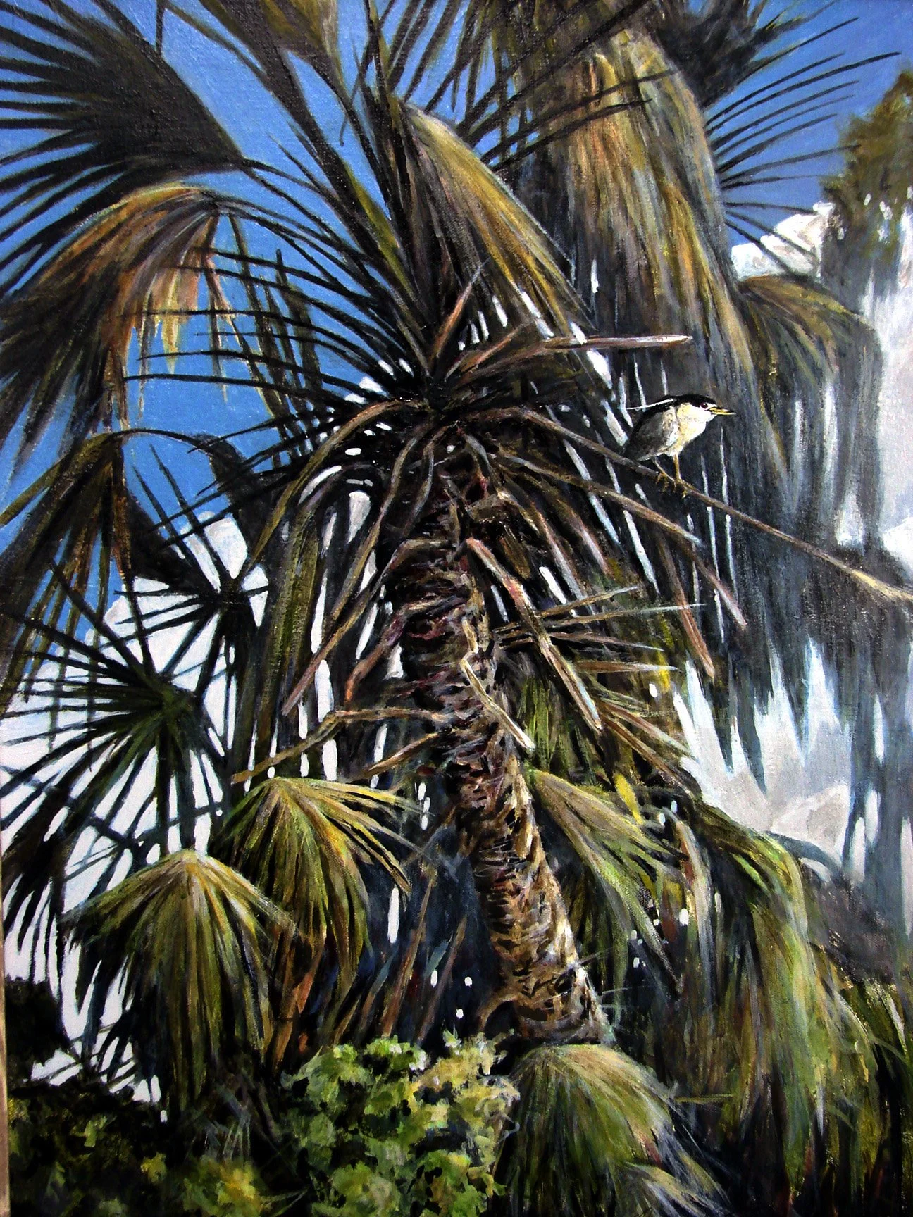 plein air paintings Florida