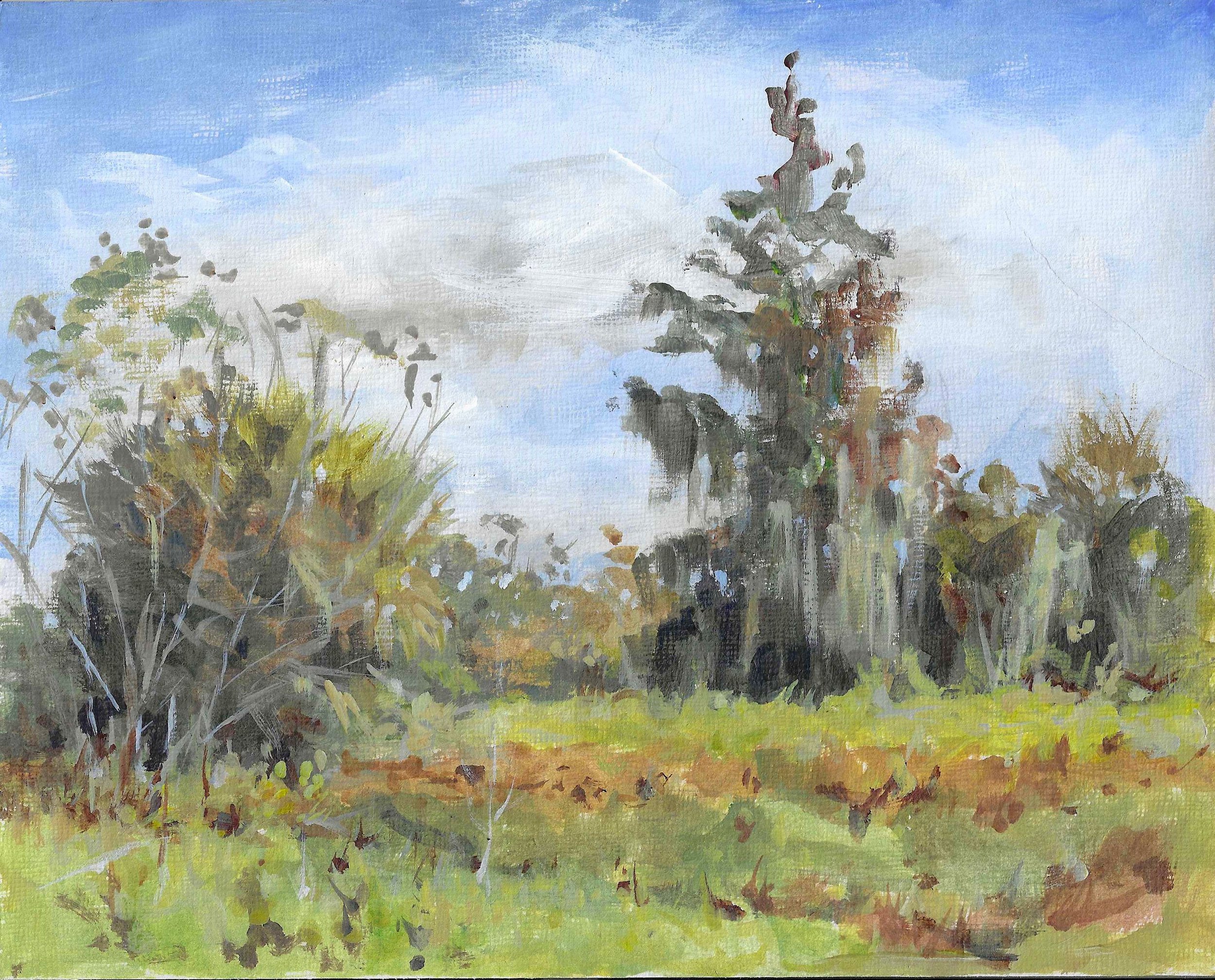 Back in the saddle, Plein Air Circle B Bar Preserve, Lakeland Florida 12/13/2025. Temp 52 at 9:30 72 by 11:00. Wonderful day light cloud cover and sun. Acrylic primaries on 8x10" soho artist board brushes, 1/2 inch dagger and 0 round, approx 1.5 hour