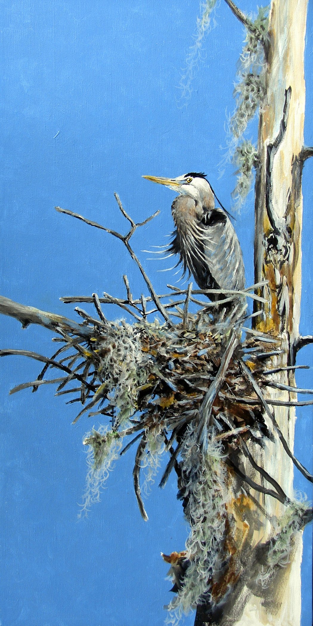 Home Alone receives another recognition "Honorable Mention"  Art and Color 365 Wildlife/ Animal competition.