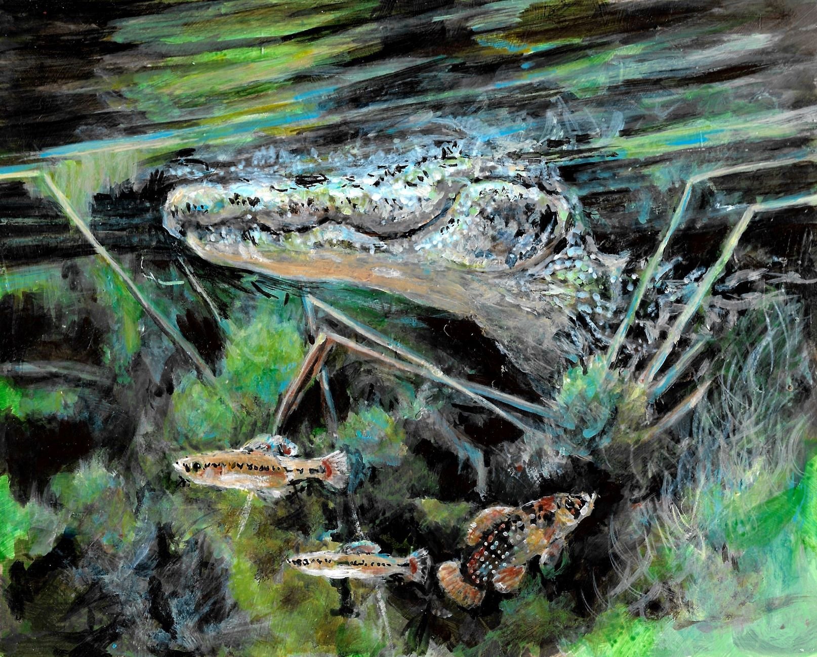 Honored that "View From Down Under" has been selected into the 2024 KY National Wildlife Art Exhibit
The Ohio Valley Art League
Preston Arts Center - Henderson, KY.
October 05 – November 29, 2024
This artwork depicts an underwater scene featurin